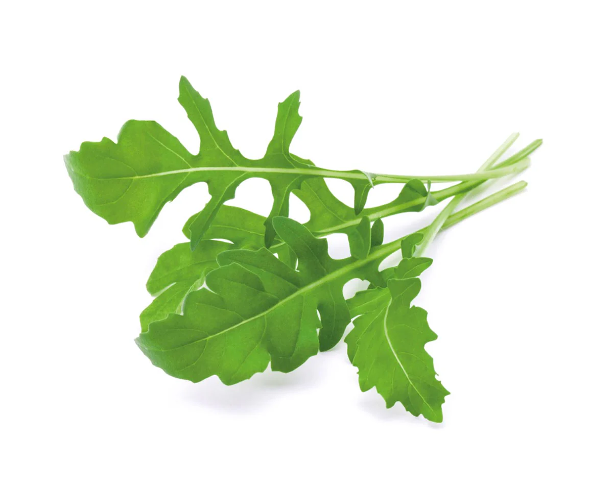 Arugula Plant Pods 30-pack - Image 2