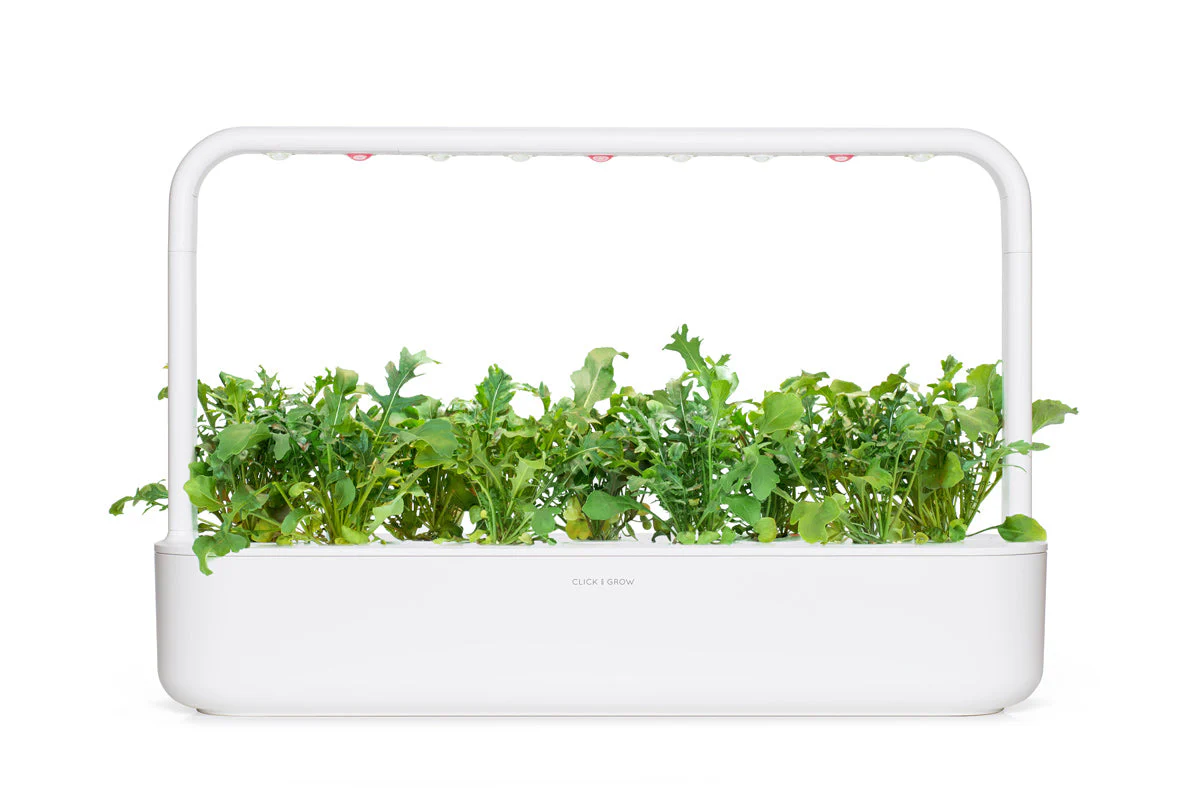 Arugula Plant Pods 9-pack - Image 4