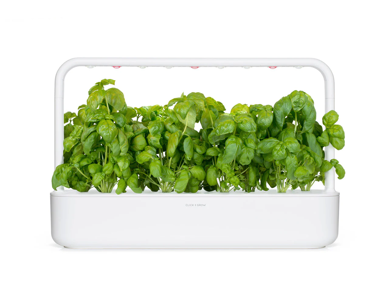 Basil Plant Pods 9-pack - Image 4