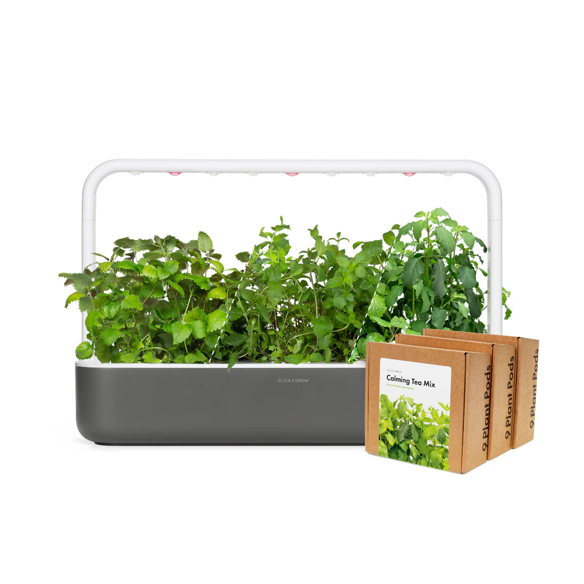 Big "Herbal Tea" Kit - Image 2