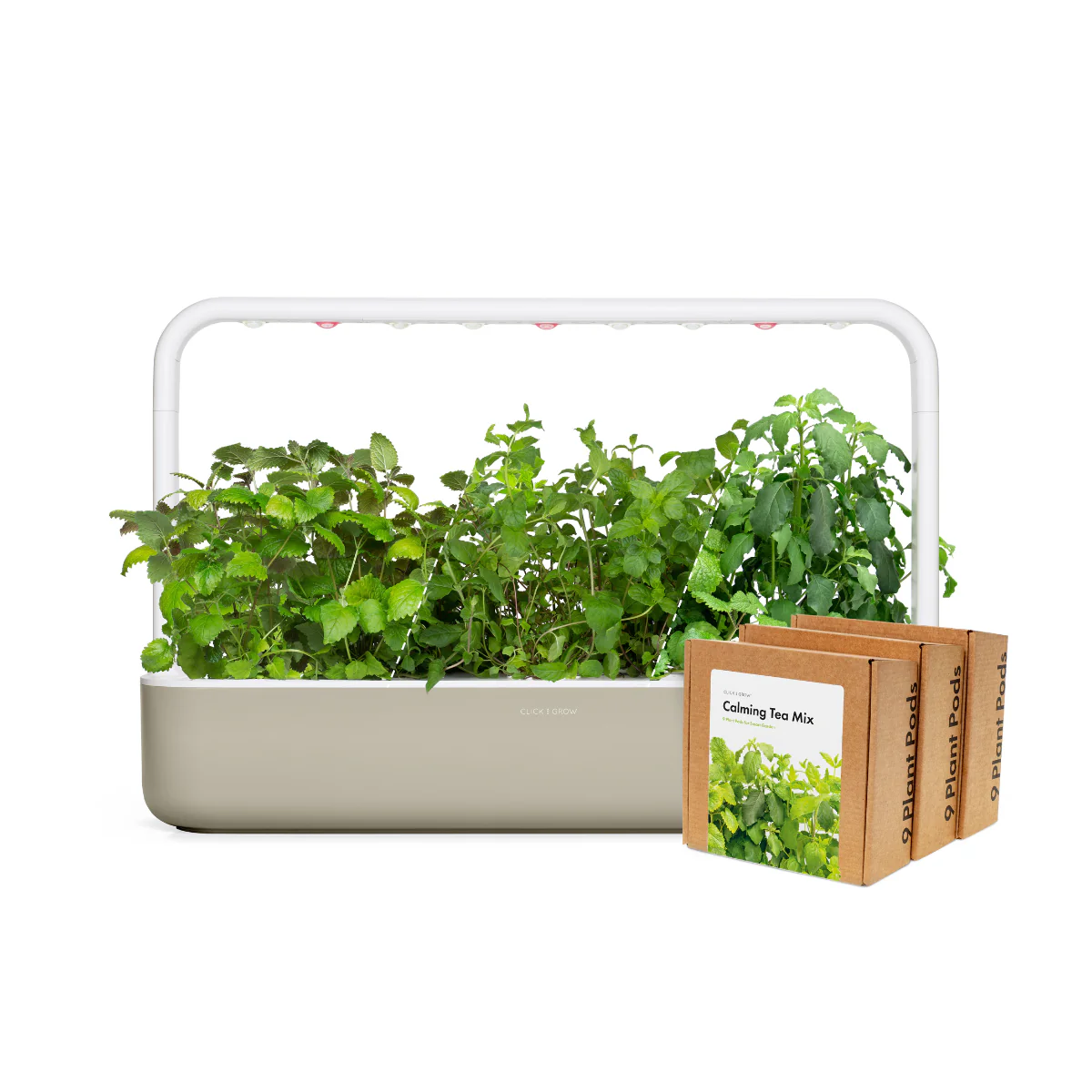 Big "Herbal Tea" Kit - Image 3