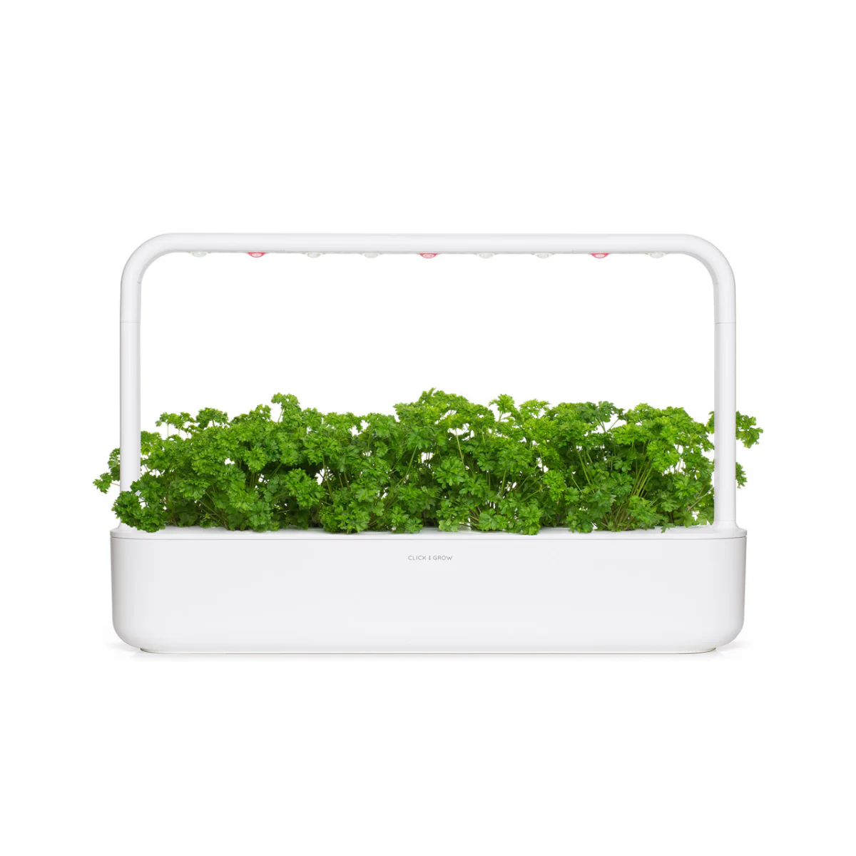 Curly Parsley Plant Pods 9-pack - Image 4