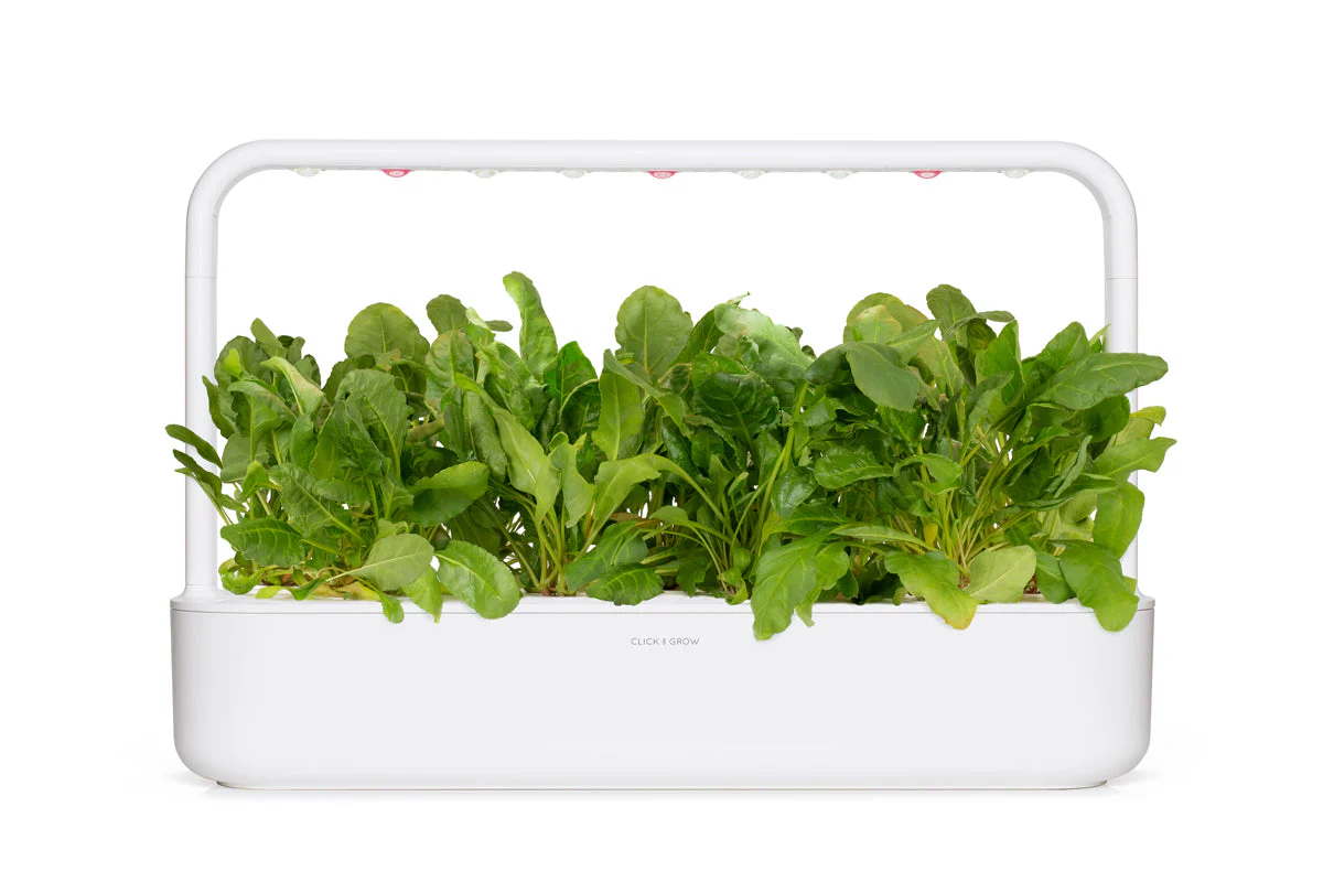Green Chard Plant Pods 9-pack - Image 4