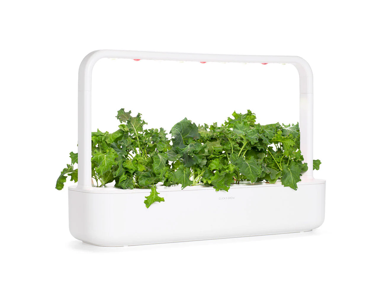 Green Kale Plant Pods 9-pack - Image 4
