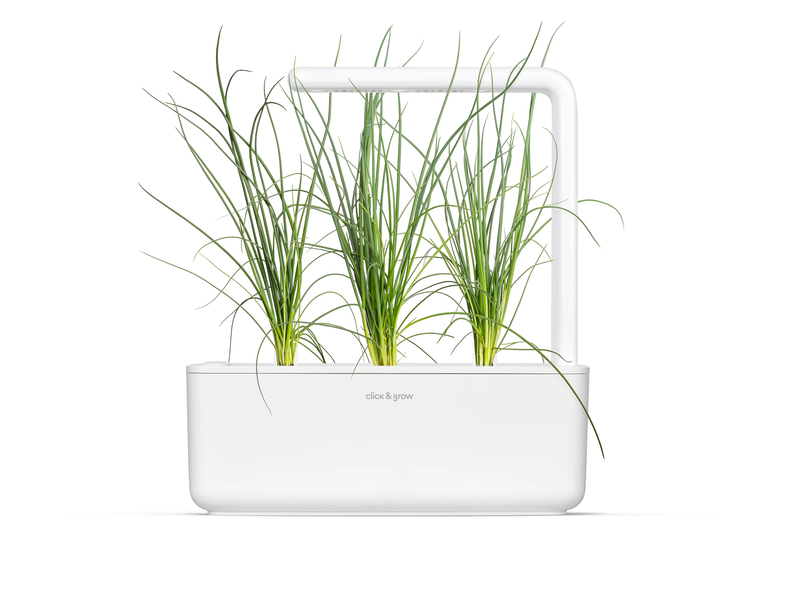 Green Onion Plant Pods 3-pack - Image 4