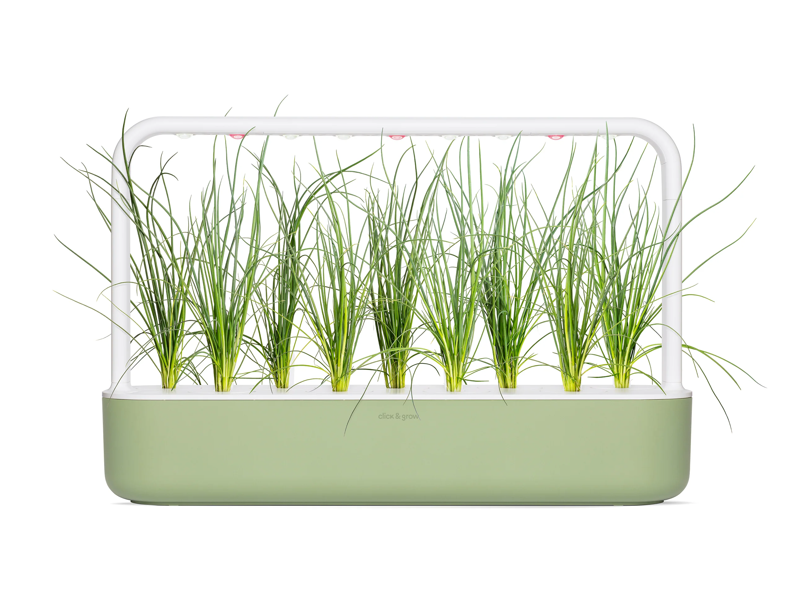 Green Onion Plant Pods 3-pack - Image 5