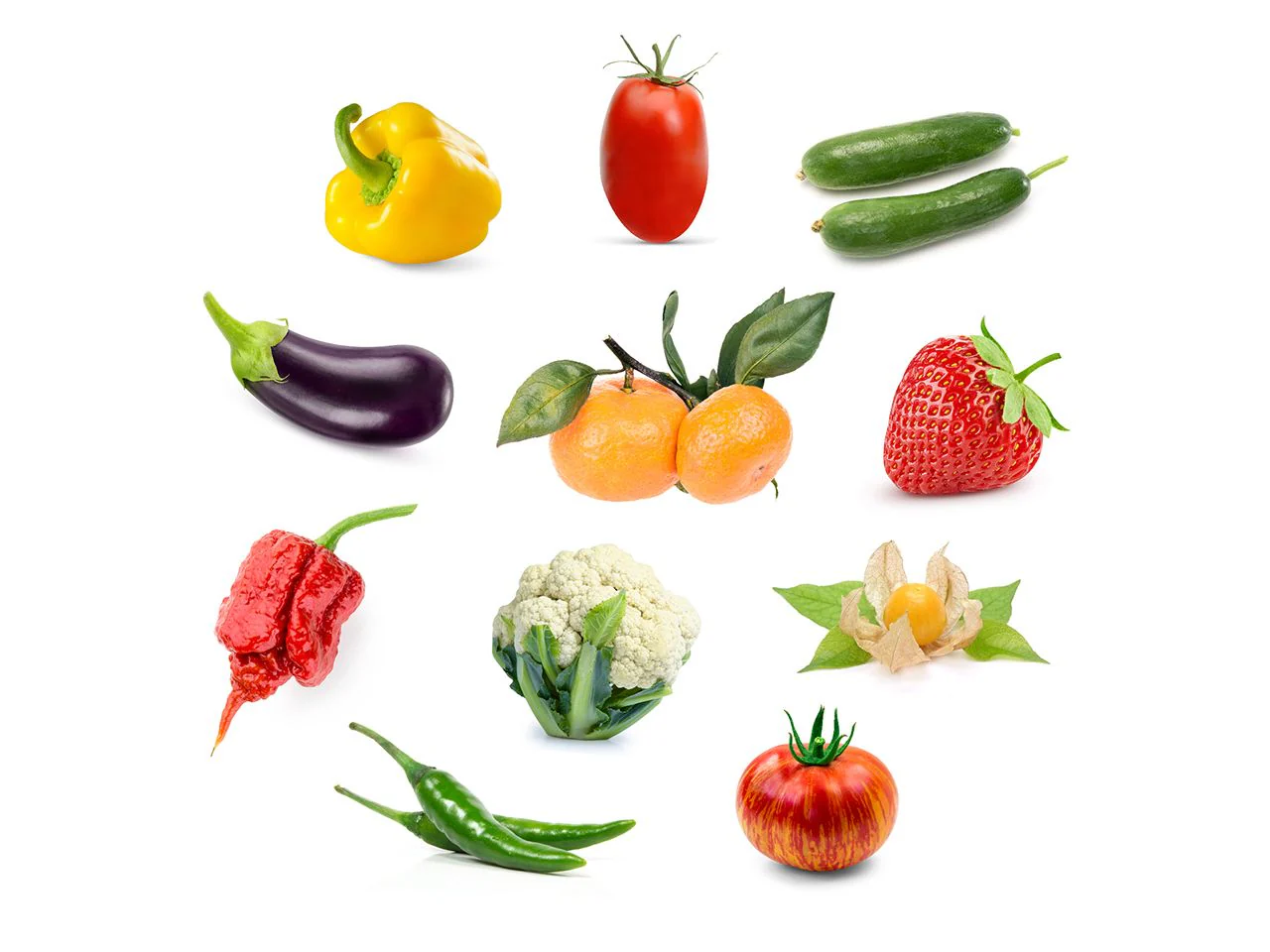 Grow Anything Plant Pods 3-pack (optimised for fruiting plants)