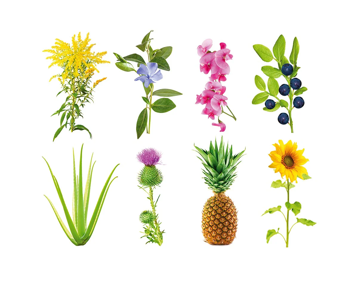 Grow Anything Plant Pods 9-pack - Image 2