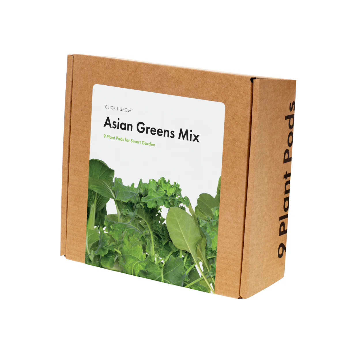 Asian Cuisine Mix 9-pack - Image 3