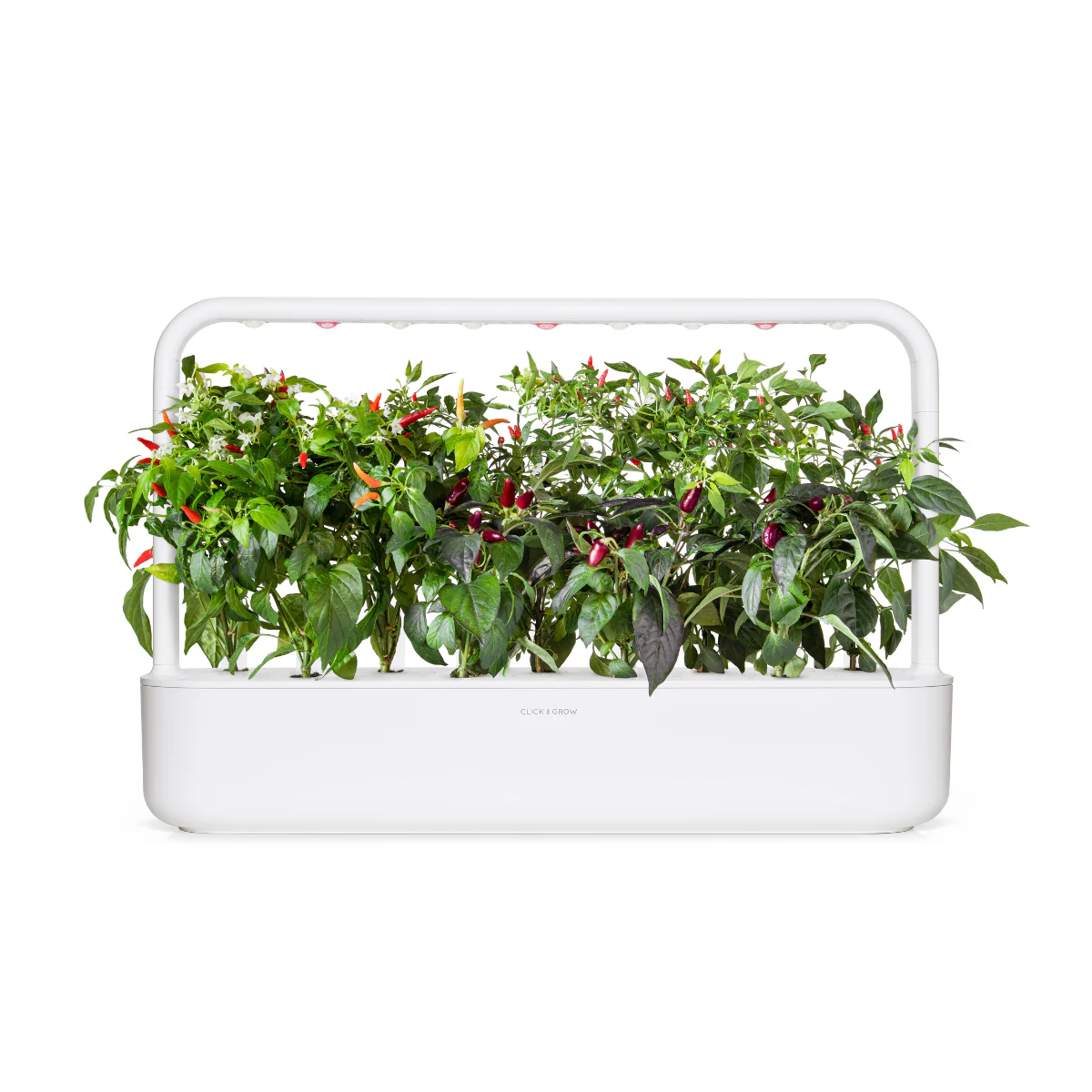 Chili Pepper Mix 9-pack - Image 3
