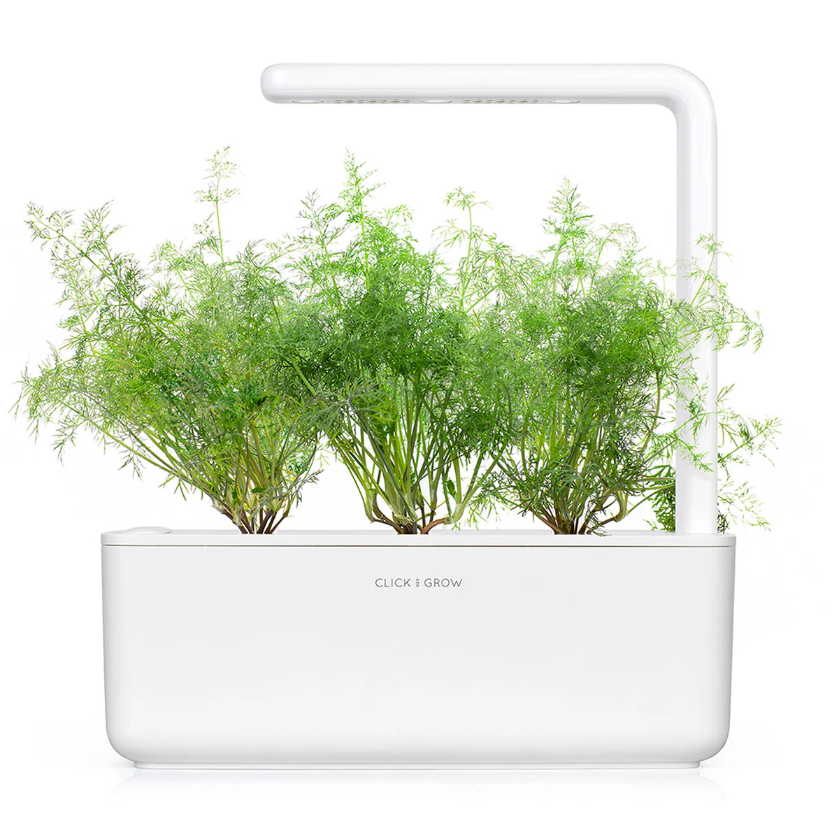 Dill Plant Pods 3-pack - Image 4