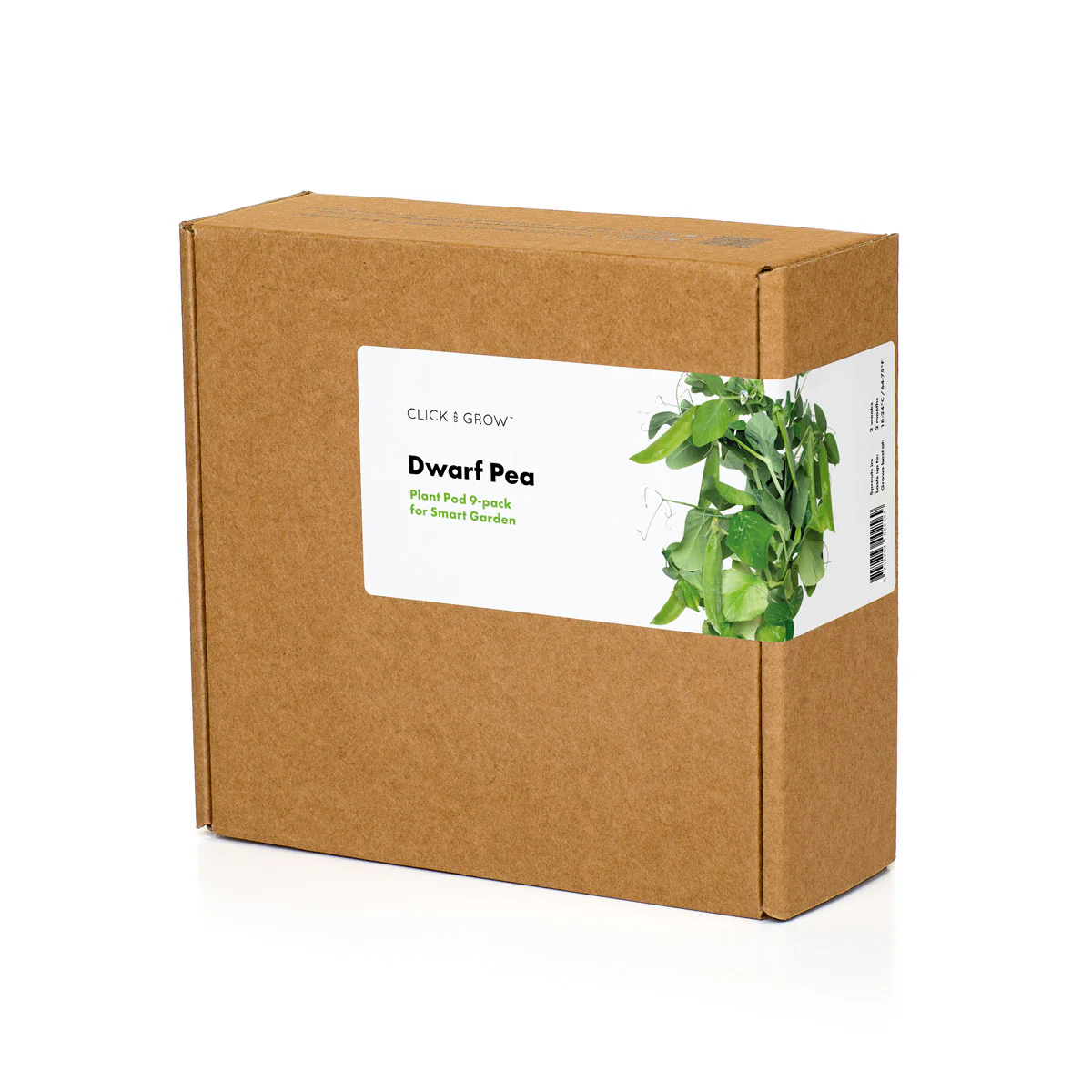 Dwarf Pea Plant Pods 3-pack - Image 4