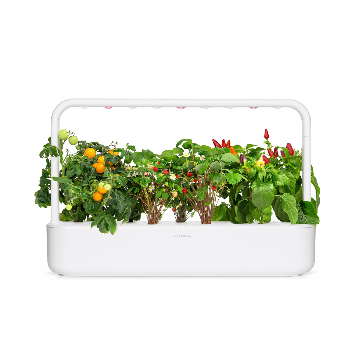 Fruit and Veggie Mix 9-pack - Image 3