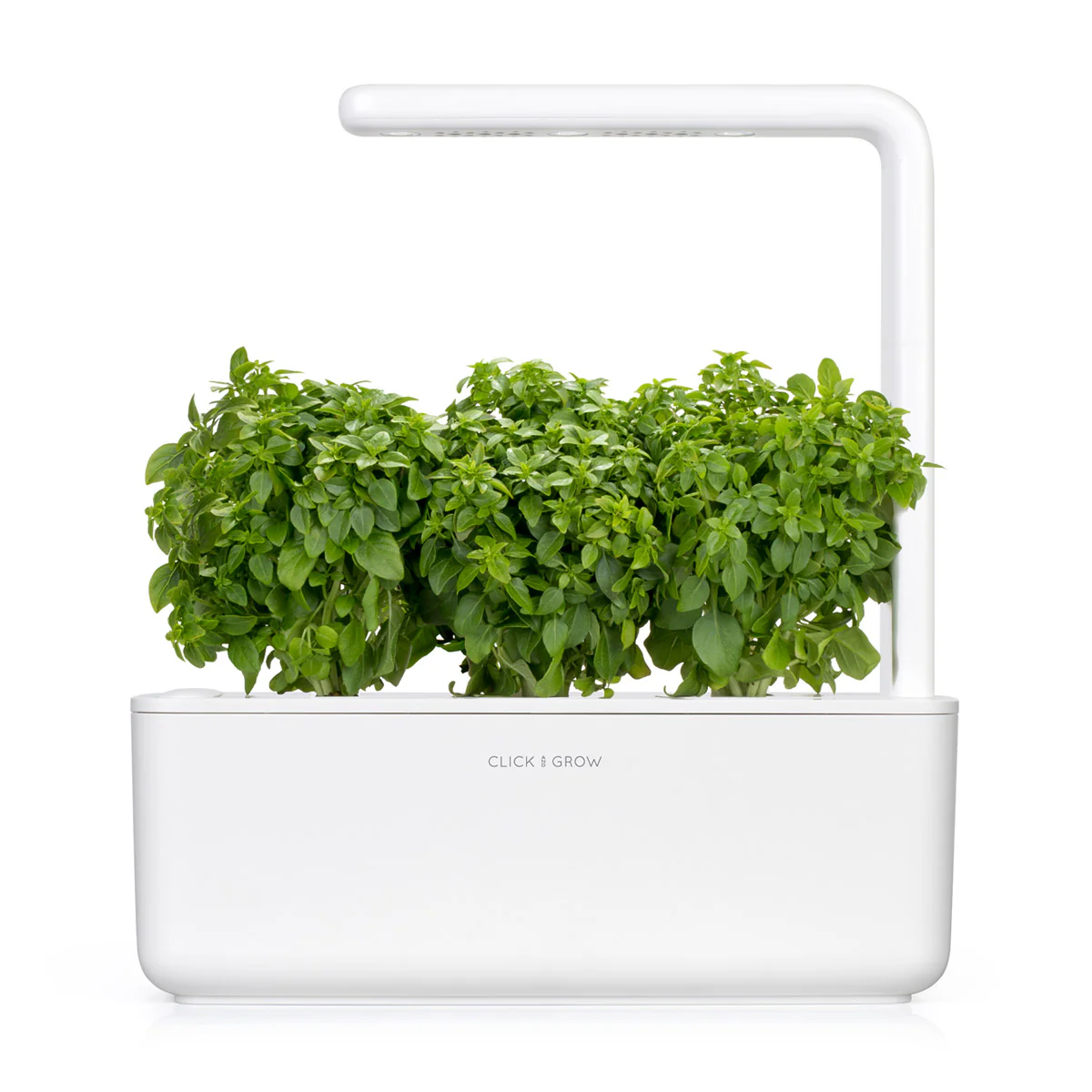Greek Basil Plant Pods 3-pack - Image 3