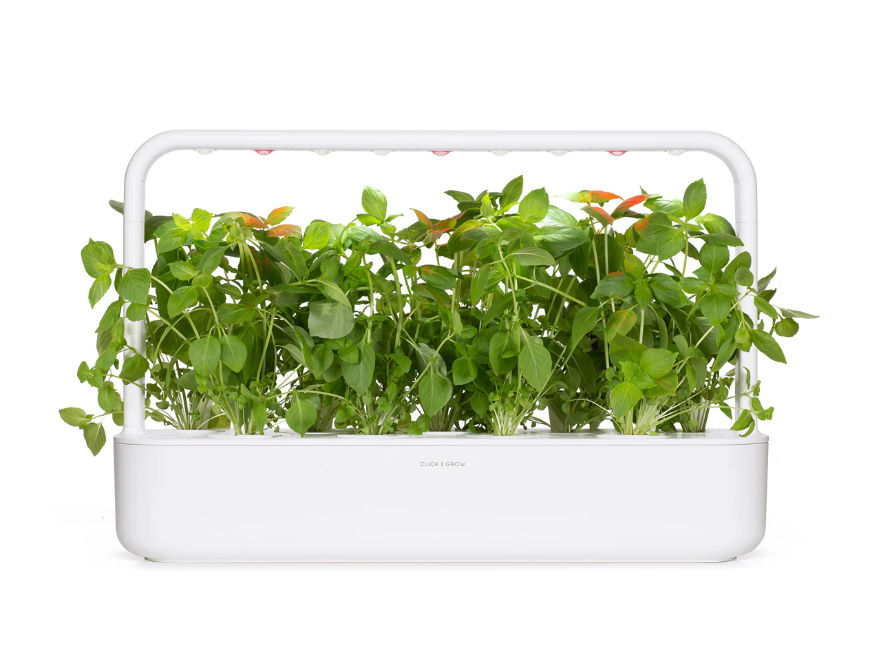 Lemon Basil Plant Pods 3-pack - Image 2