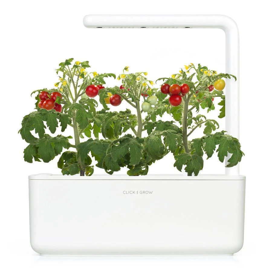 Mini Tomato Plant Pods 3-pack - Image 3
