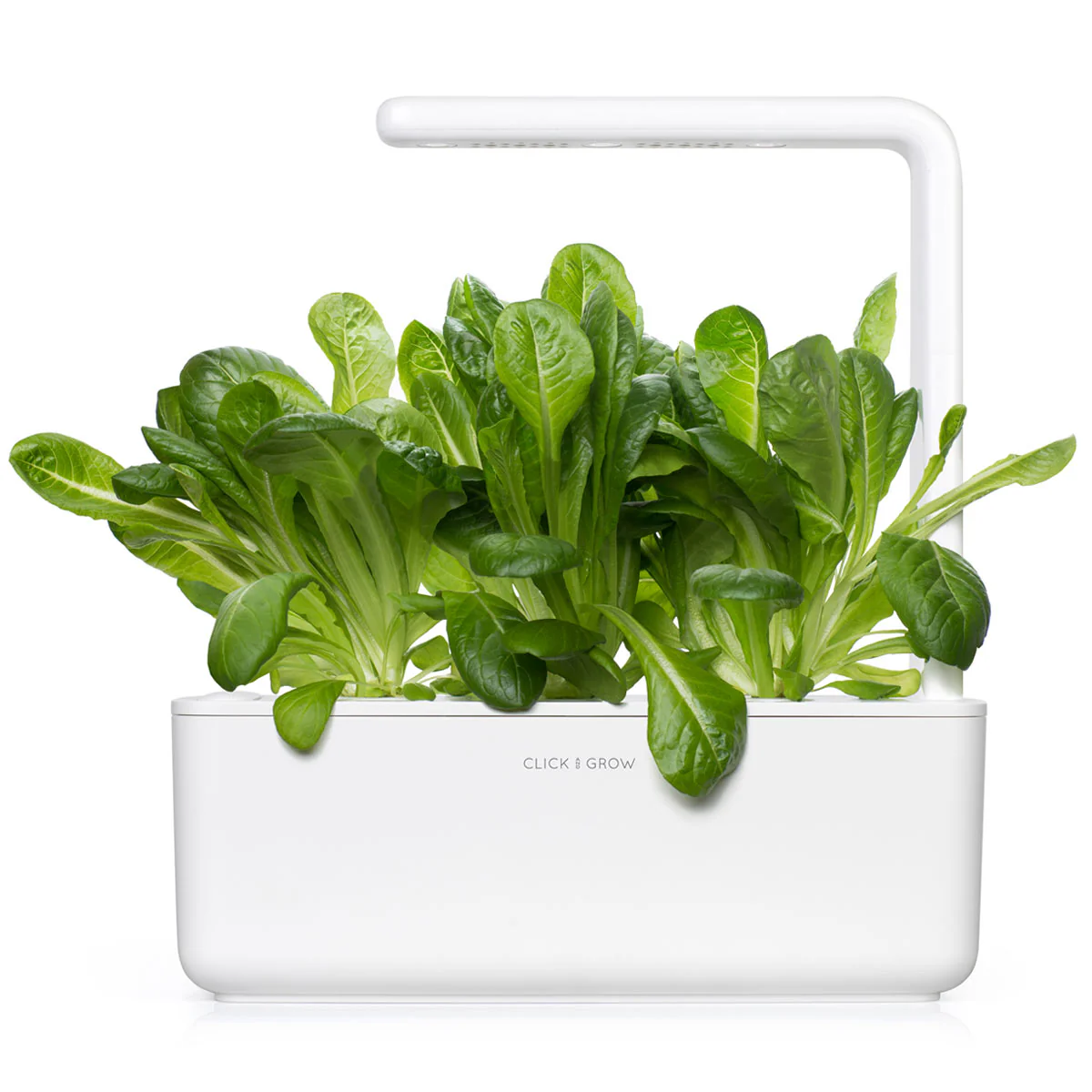 Romaine Lettuce Plant Pods 3-pack - Image 4