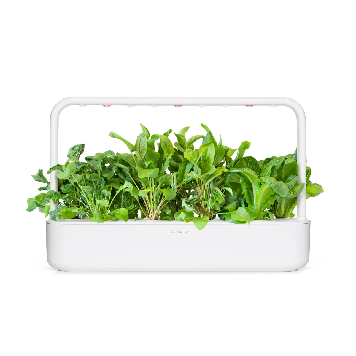 Salad Greens Mix 9-pack - Image 3