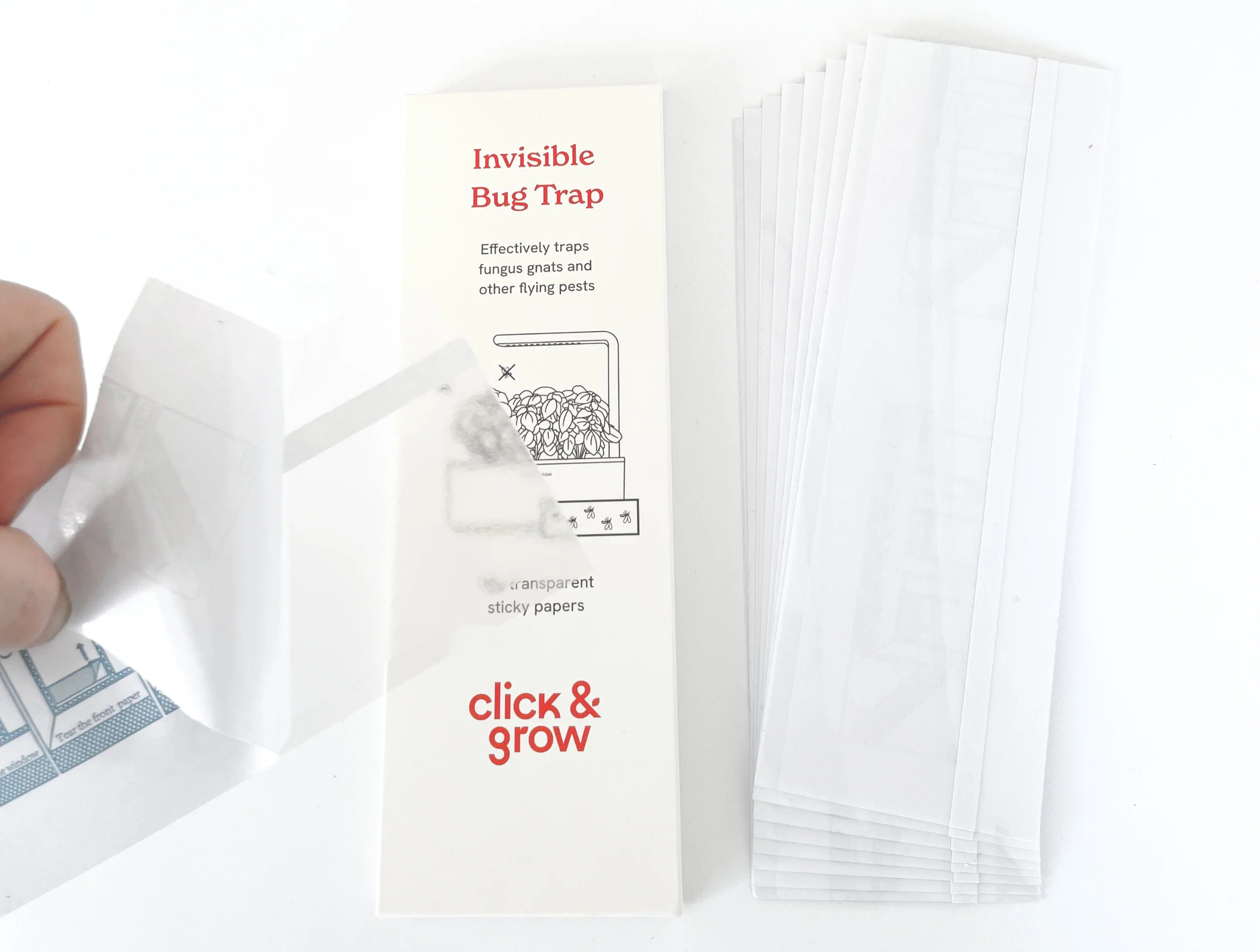 Invisible Bug Trap - Image 3