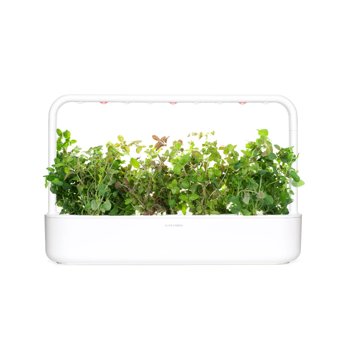 Oregano Plant Pods 9-pack - Image 4