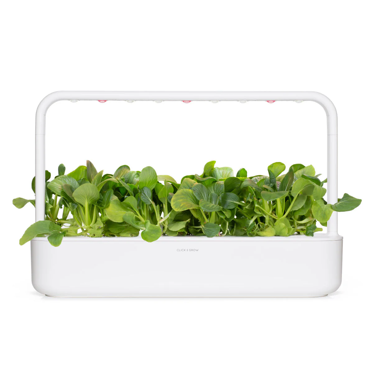 Pak Choi Plant Pods 9-pack - Image 4