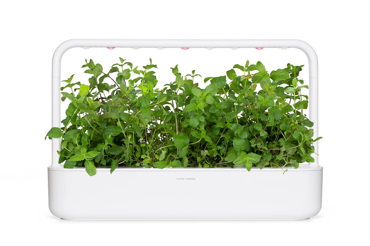Peppermint Plant Pods 9-pack - Image 4