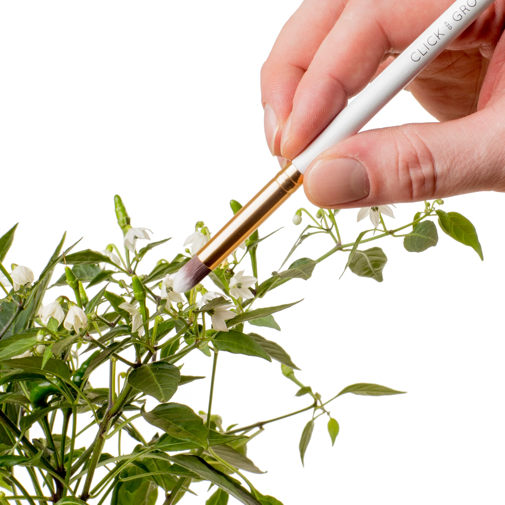 Pollination Brush - Image 3