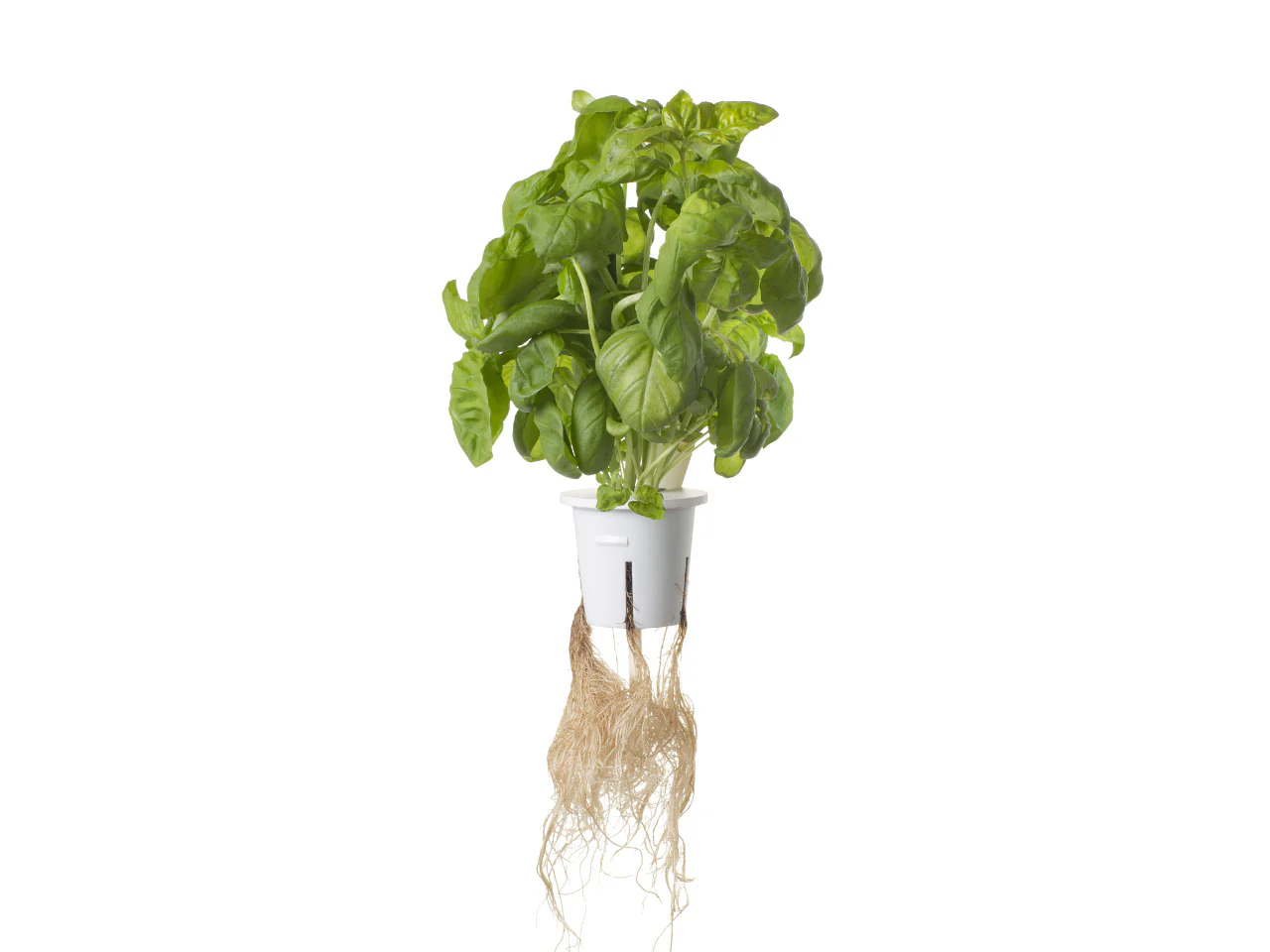 Pro Plant Cups - perforated cups for increased yield (9 pcs) - Image 3