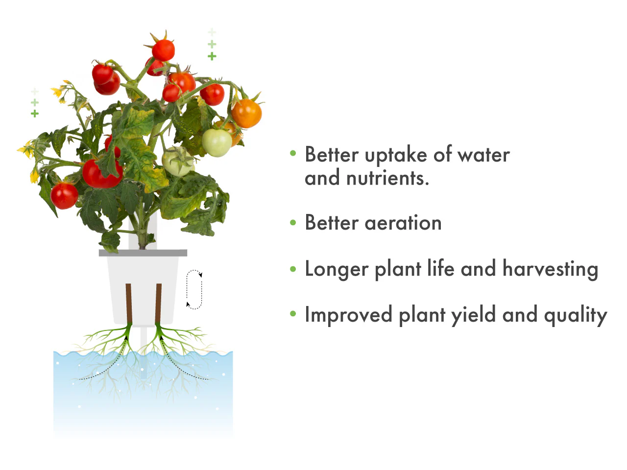 Pro Plant Cups - perforated cups for increased yield (9 pcs) - Image 4