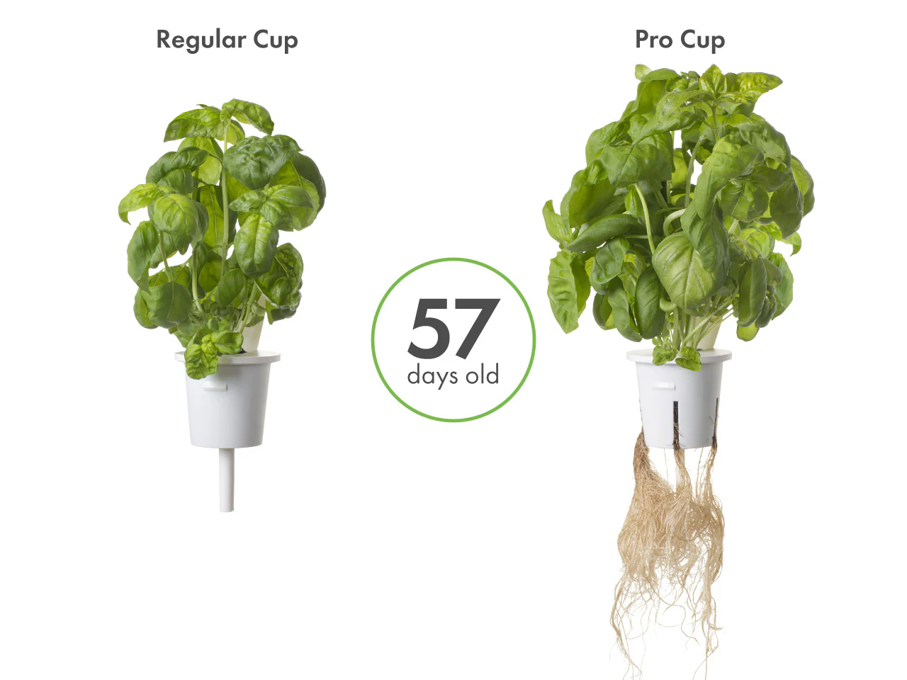 Pro Plant Cups - perforated cups for increased yield (9 pcs) - Image 5