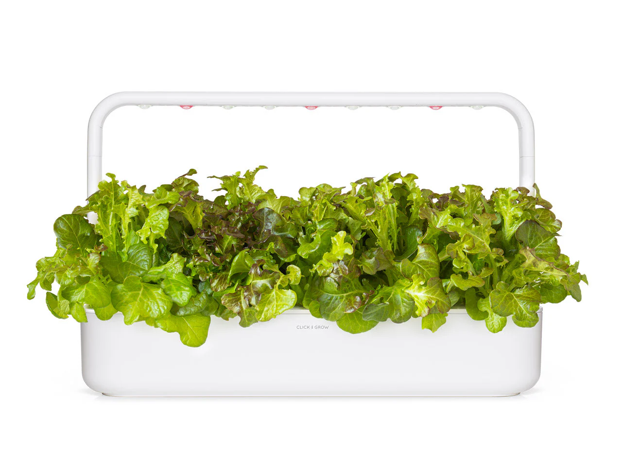 Red Oakleaf Lettuce Plant Pods 9-pack - Image 4