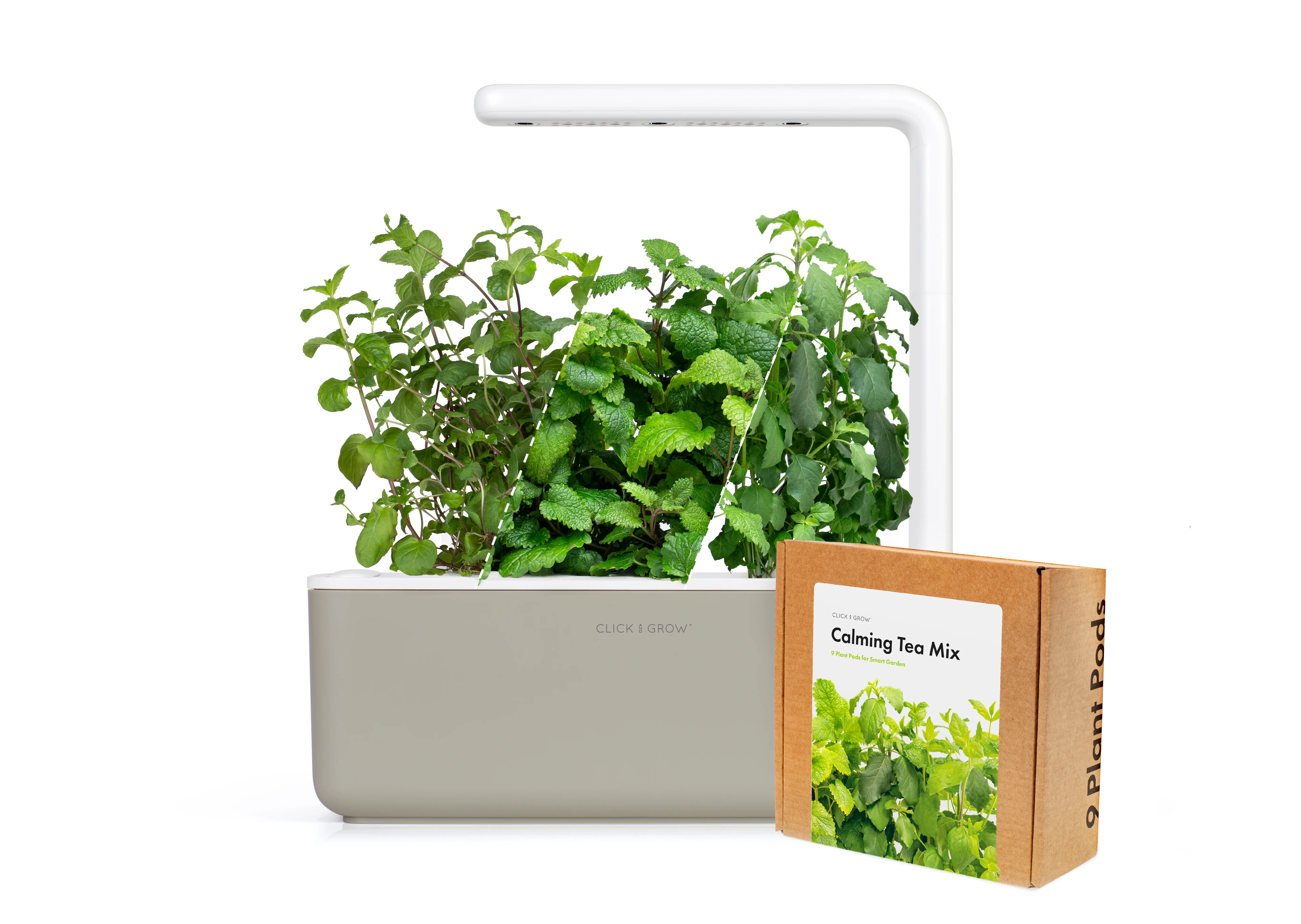 Small "Herbal Tea" Kit