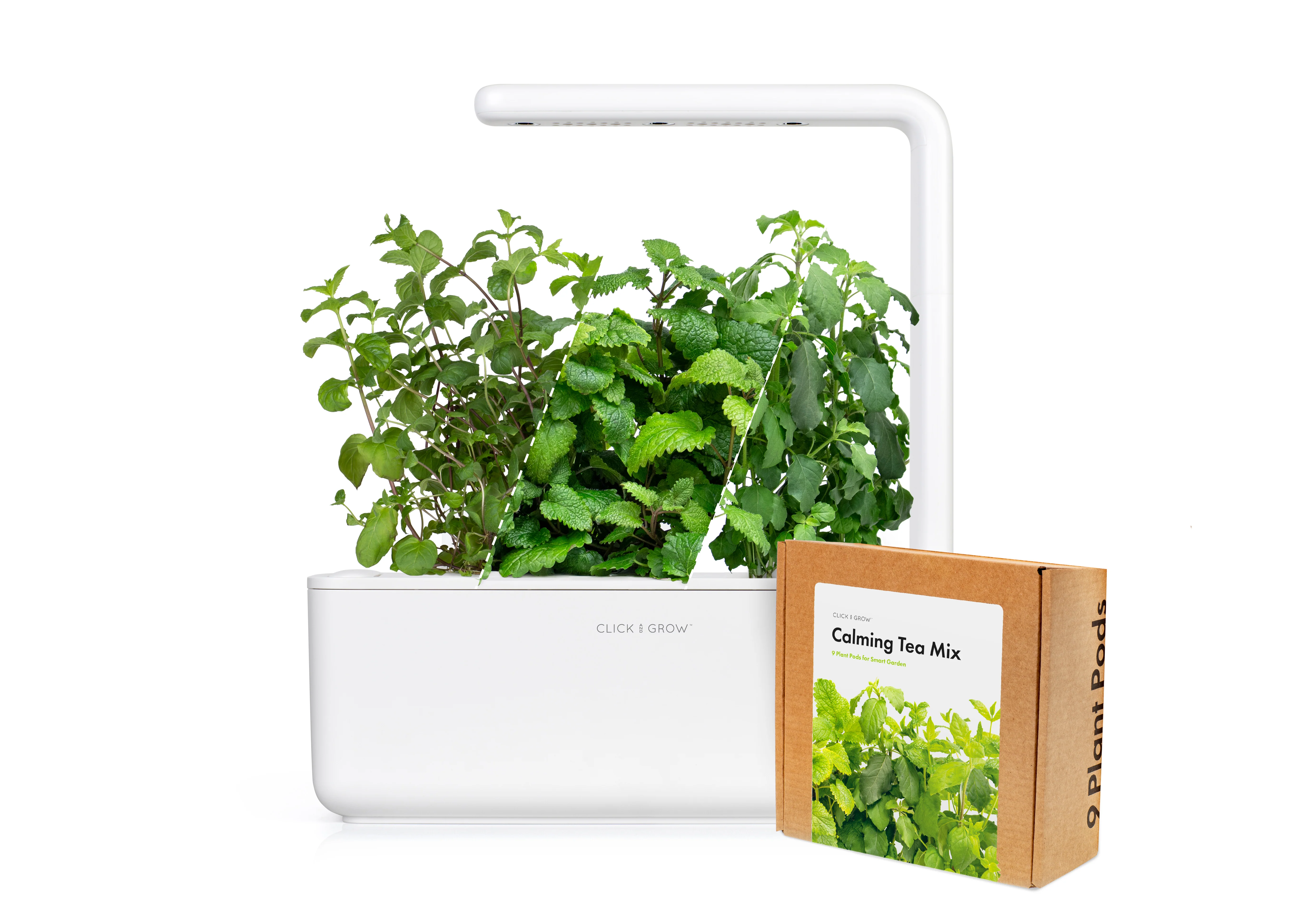 Small "Herbal Tea" Kit - Image 2