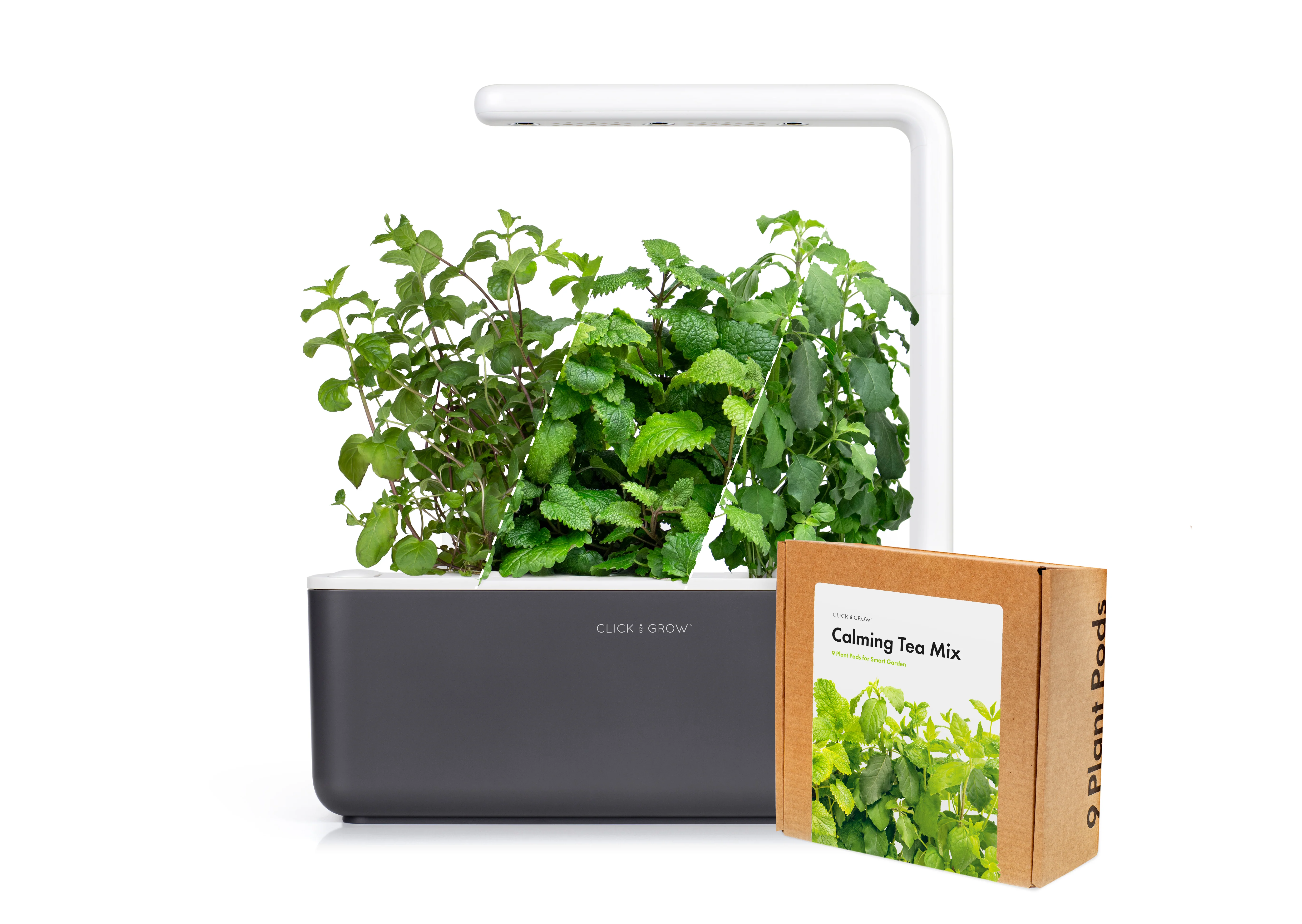 Small "Herbal Tea" Kit - Image 3