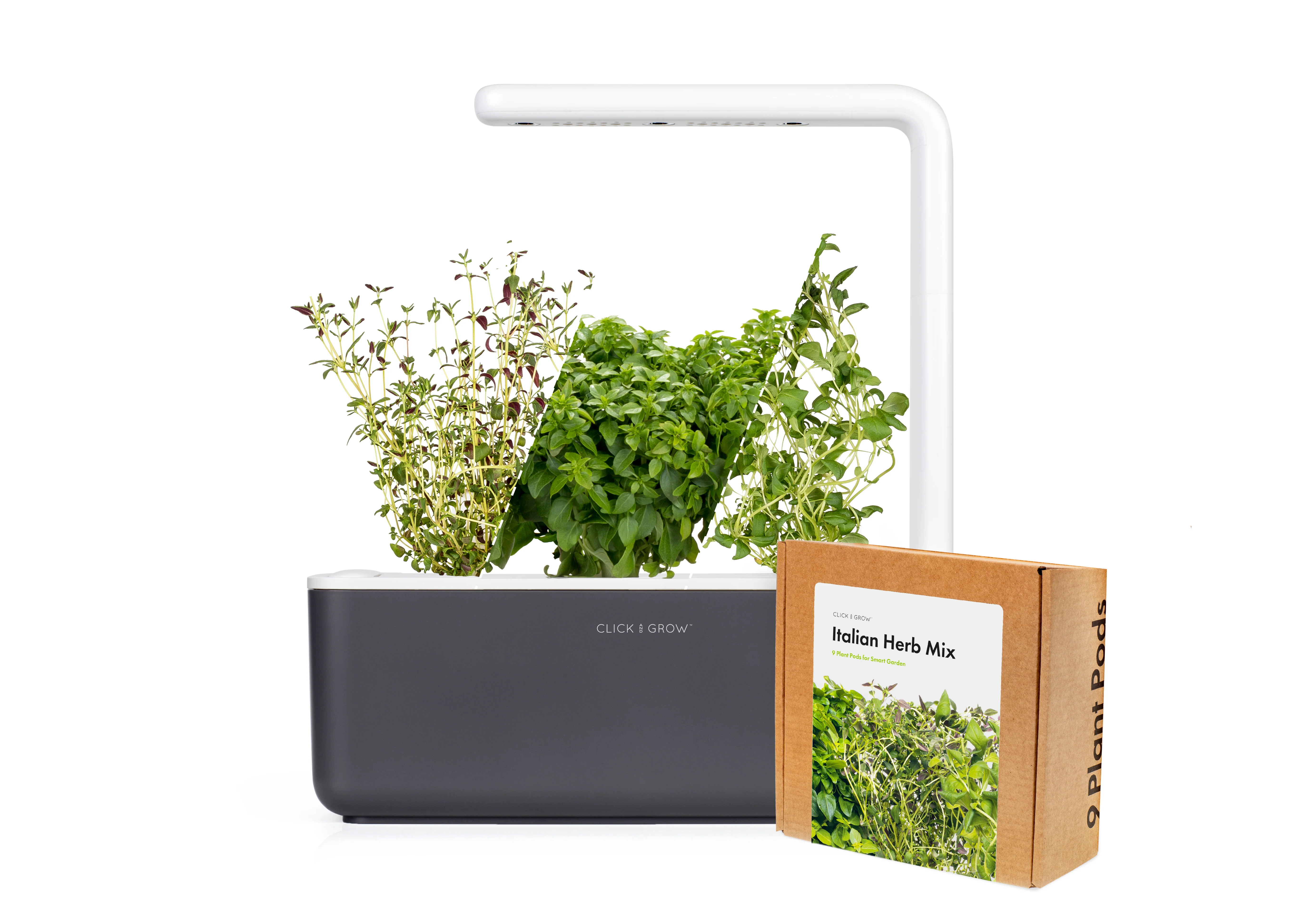 Small "Italian Herb" Kit - Image 3