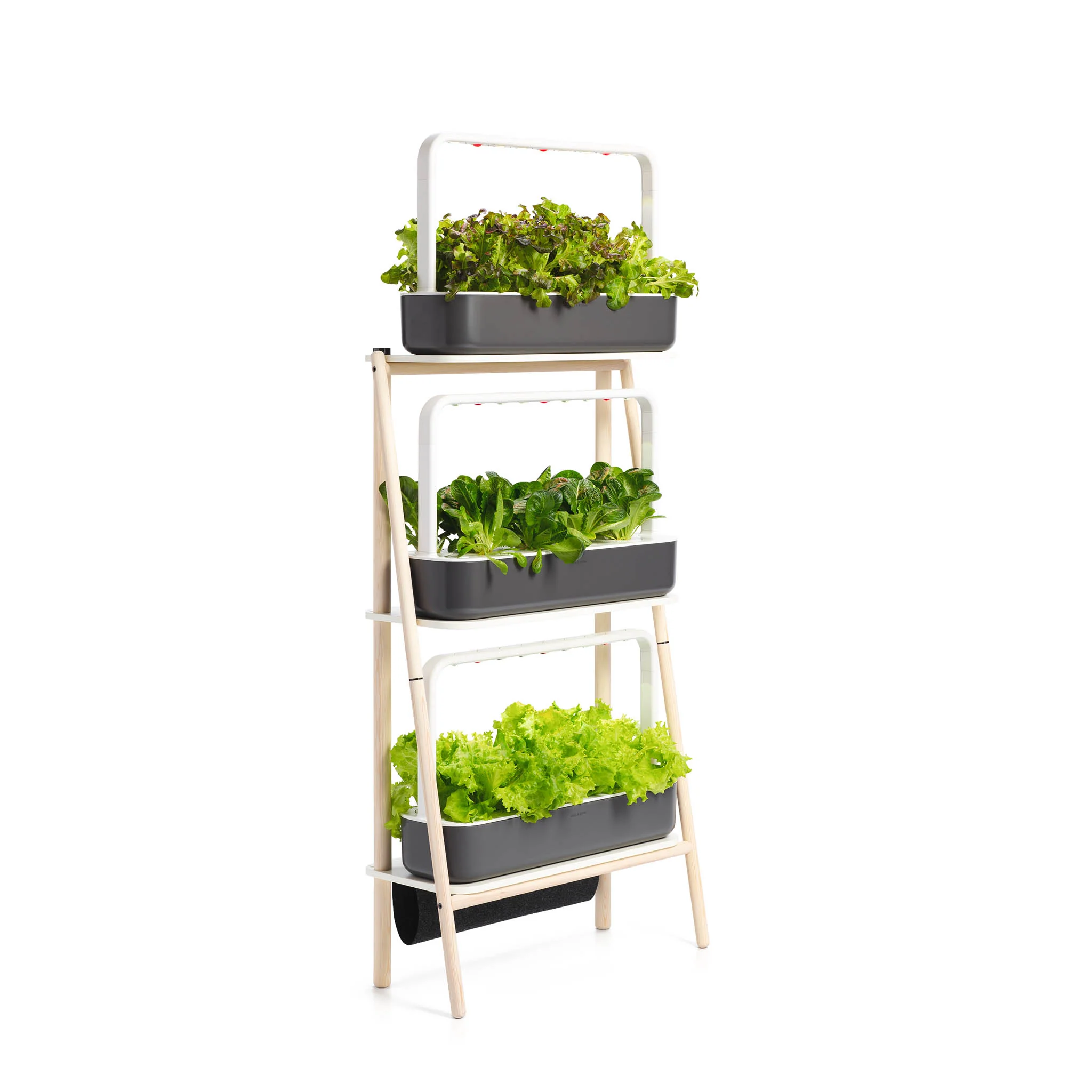 The Smart Garden 27 - Image 5