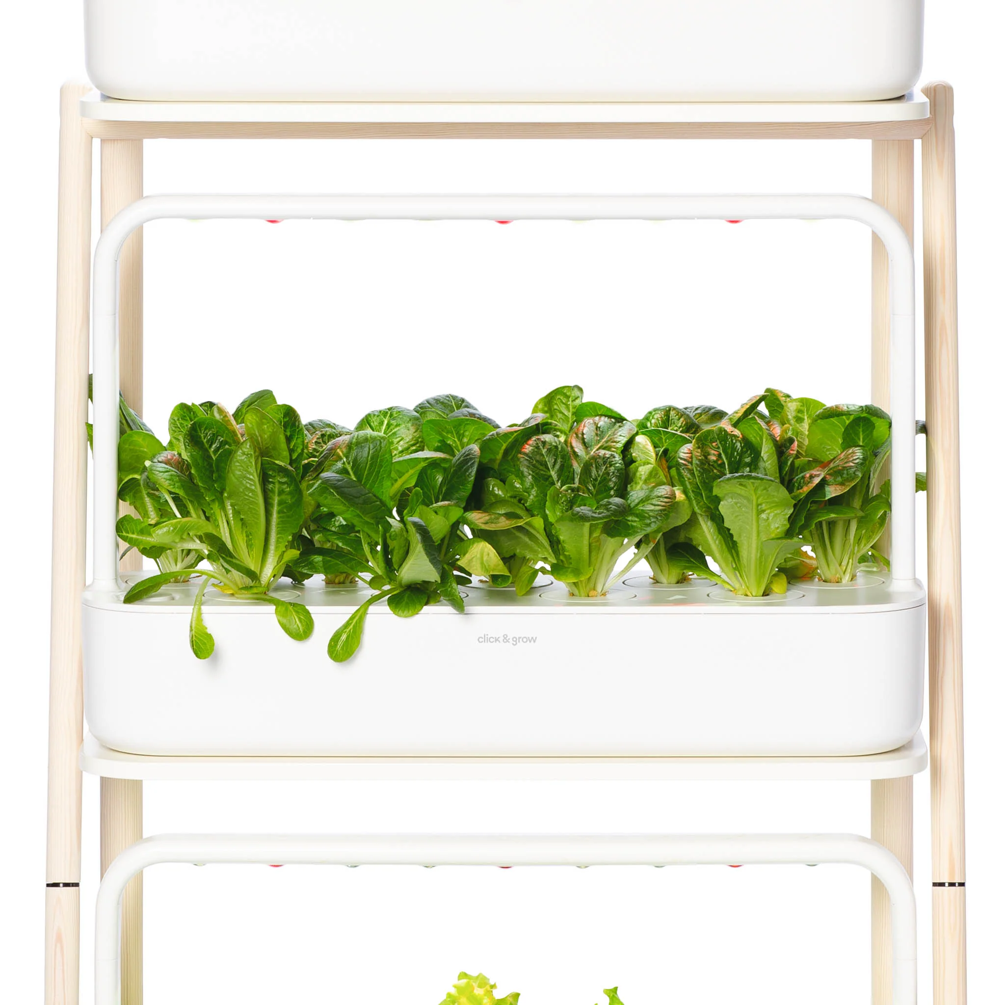 The Smart Garden 27 - Image 7
