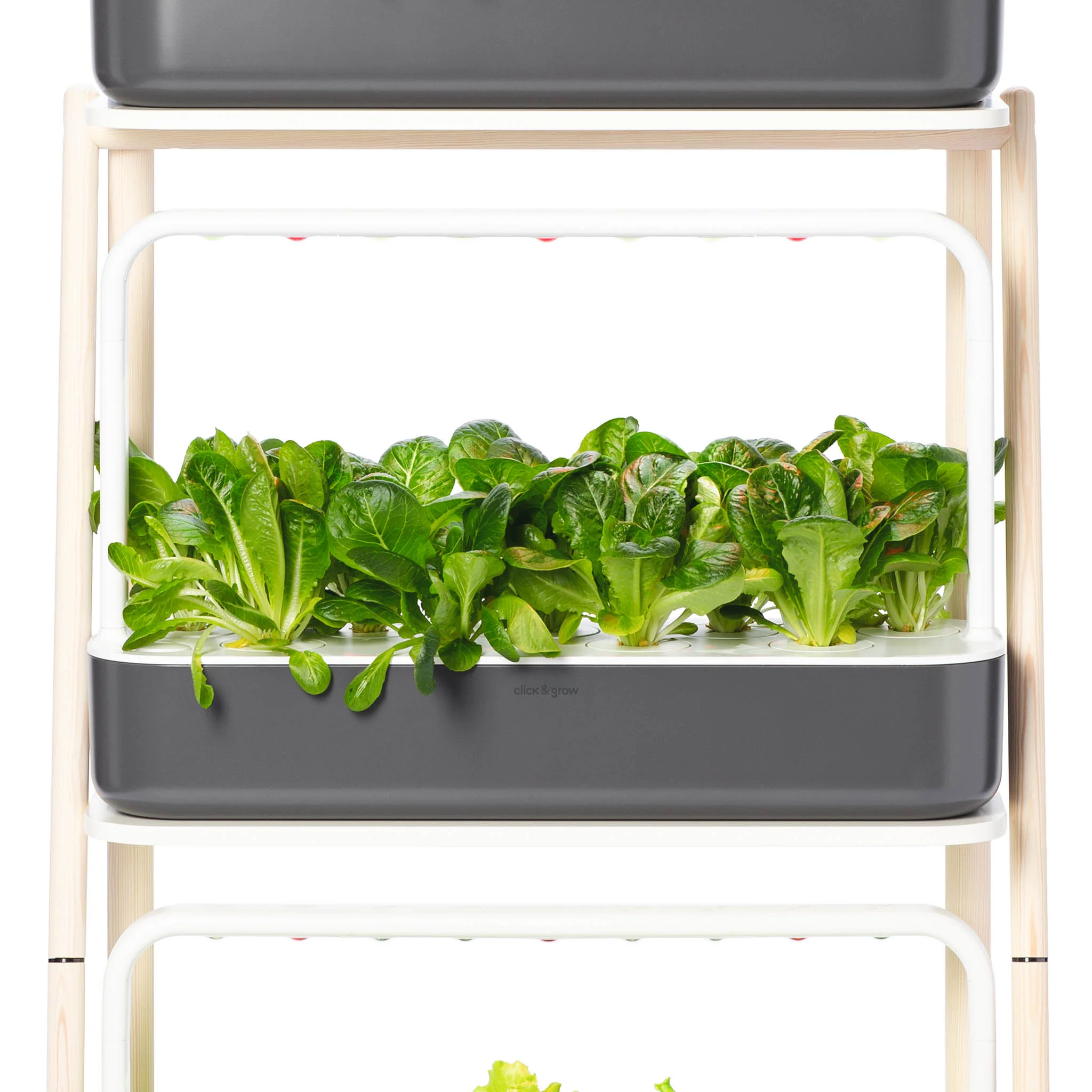 The Smart Garden 27 - Image 8