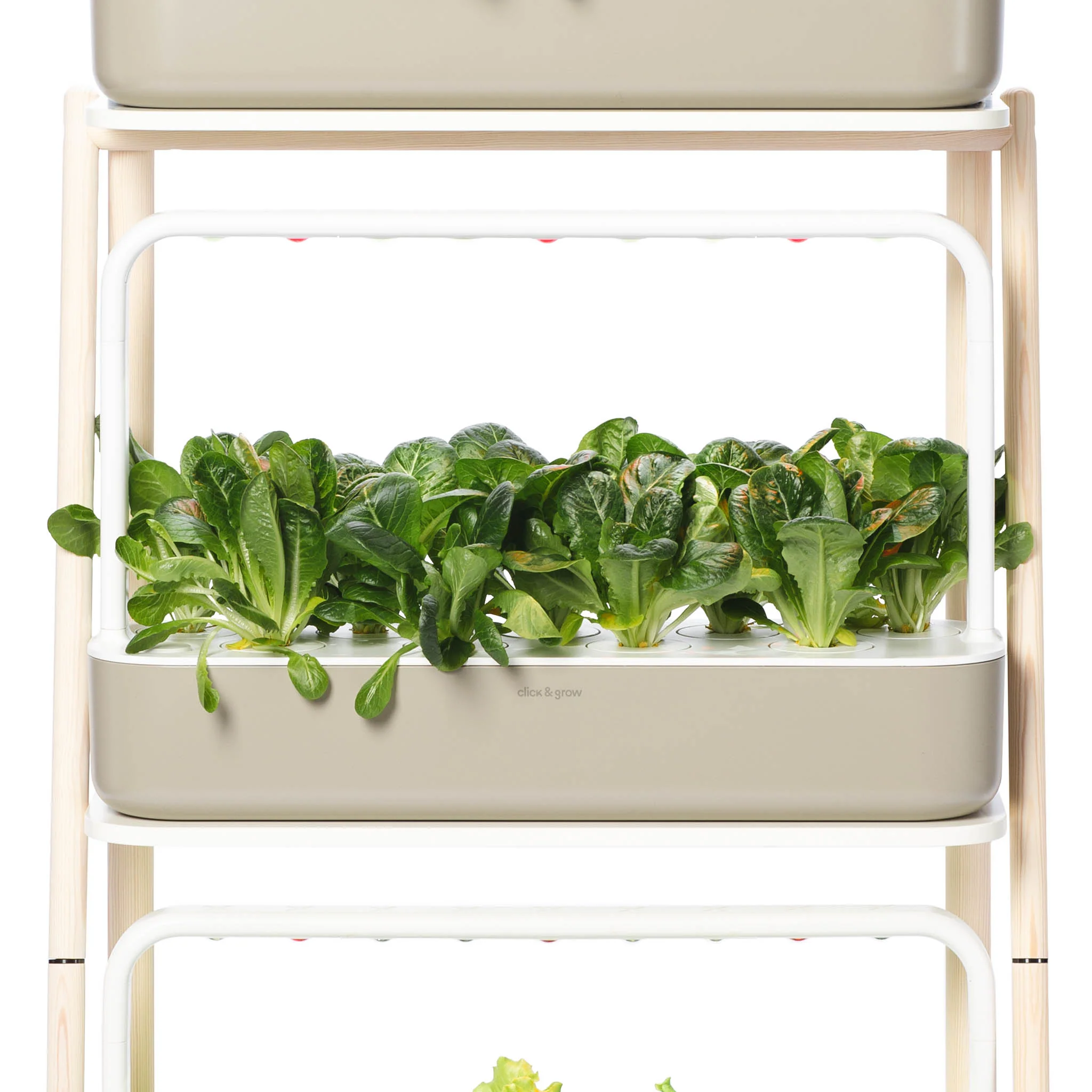 The Smart Garden 27 - Image 9