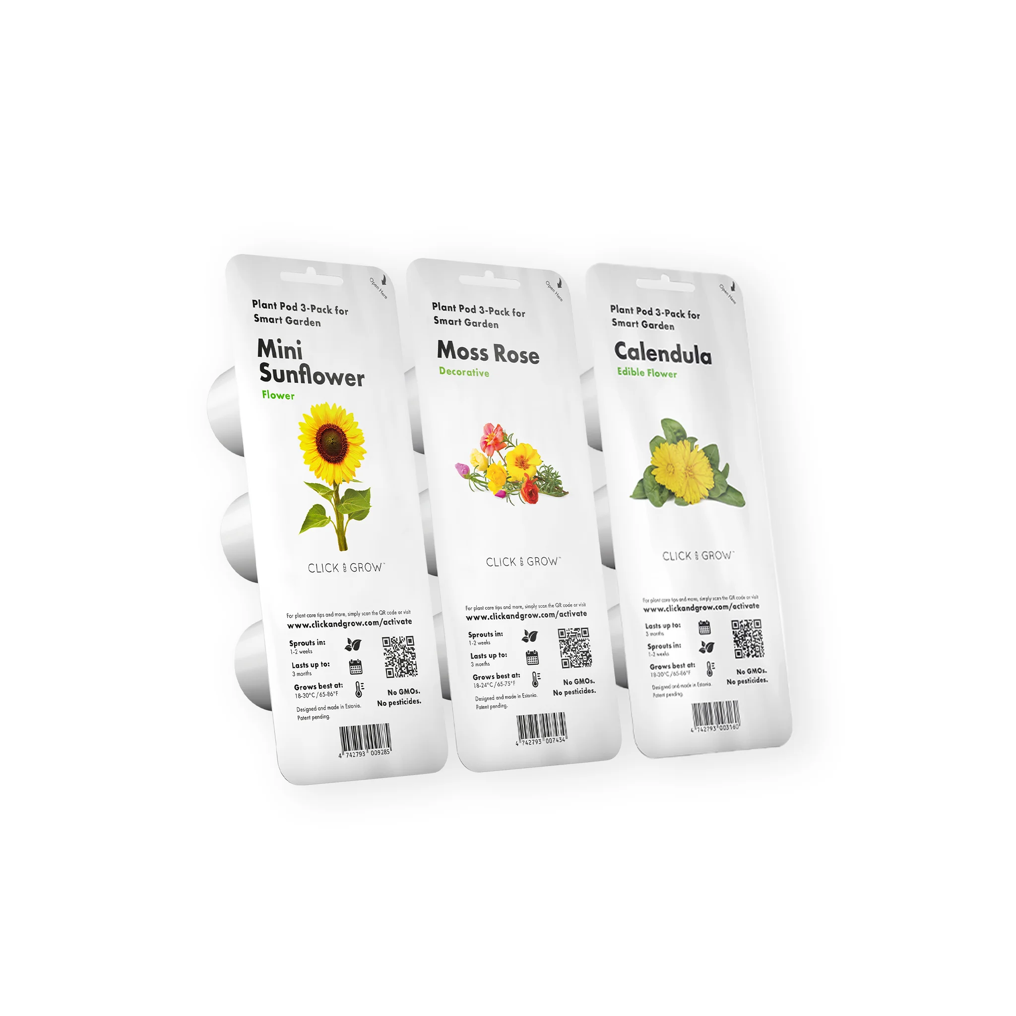Sunshine Mix - Image 3
