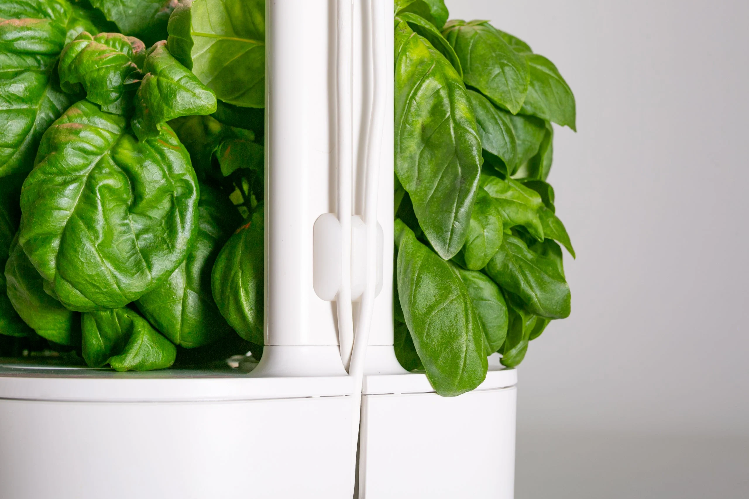 Supernova - Smart Garden 9 Upgrade Kit - Image 4