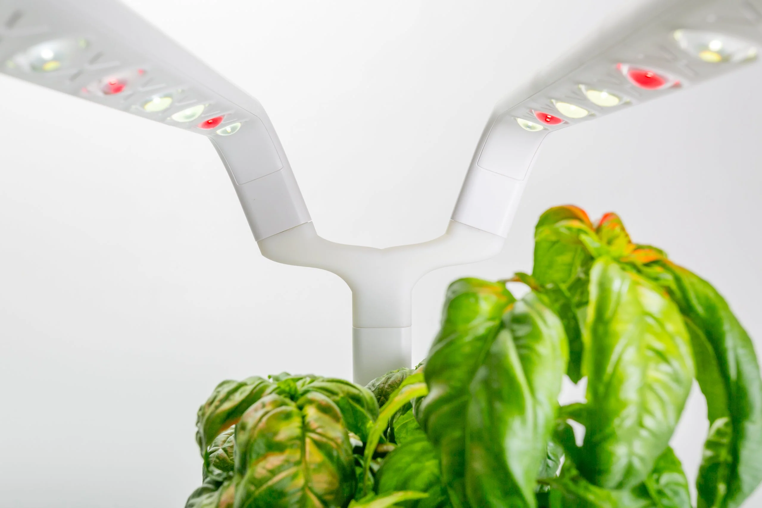 Supernova - Smart Garden 9 Upgrade Kit - Image 6