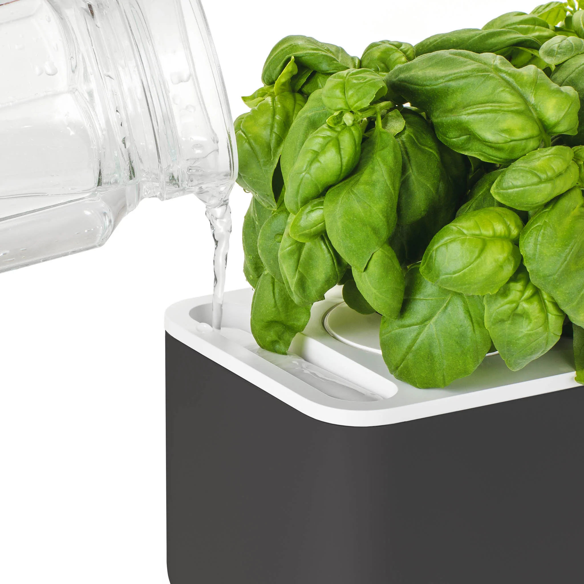 The Smart Garden 3 - Image 11