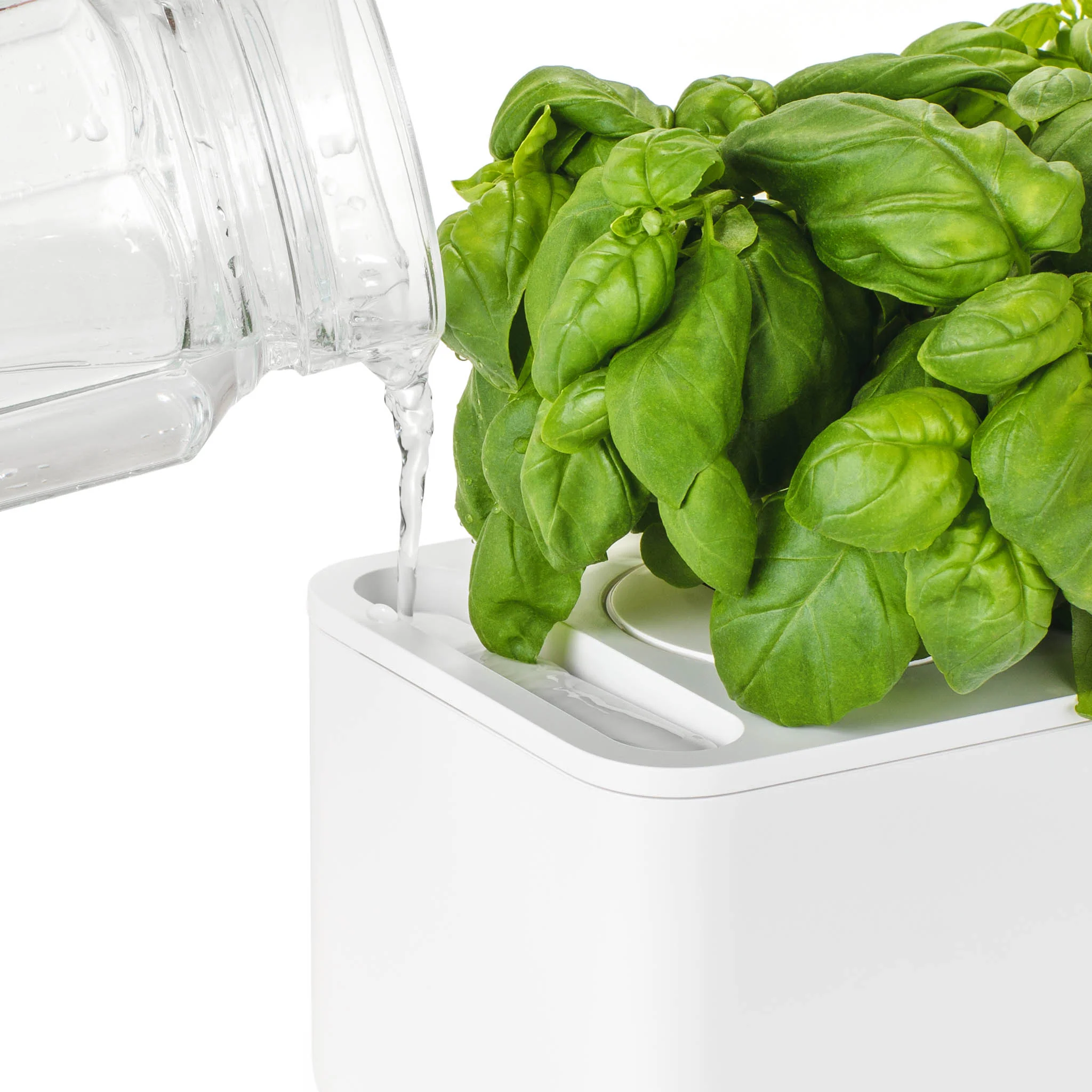 The Smart Garden 3 - Image 9