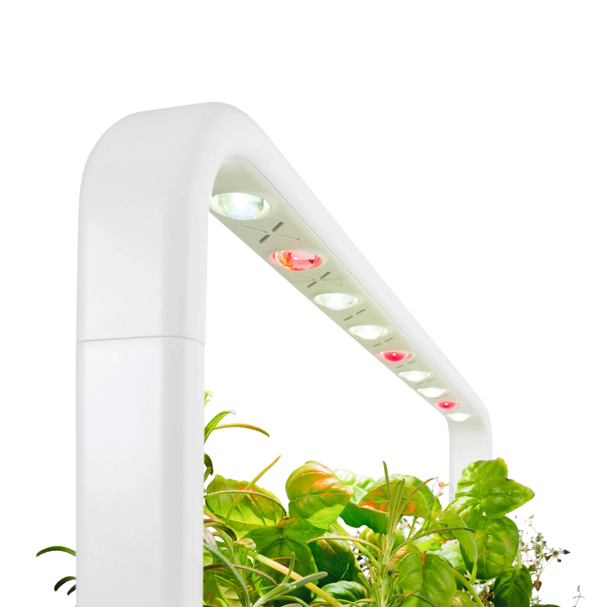 The Smart Garden 9 - Image 13