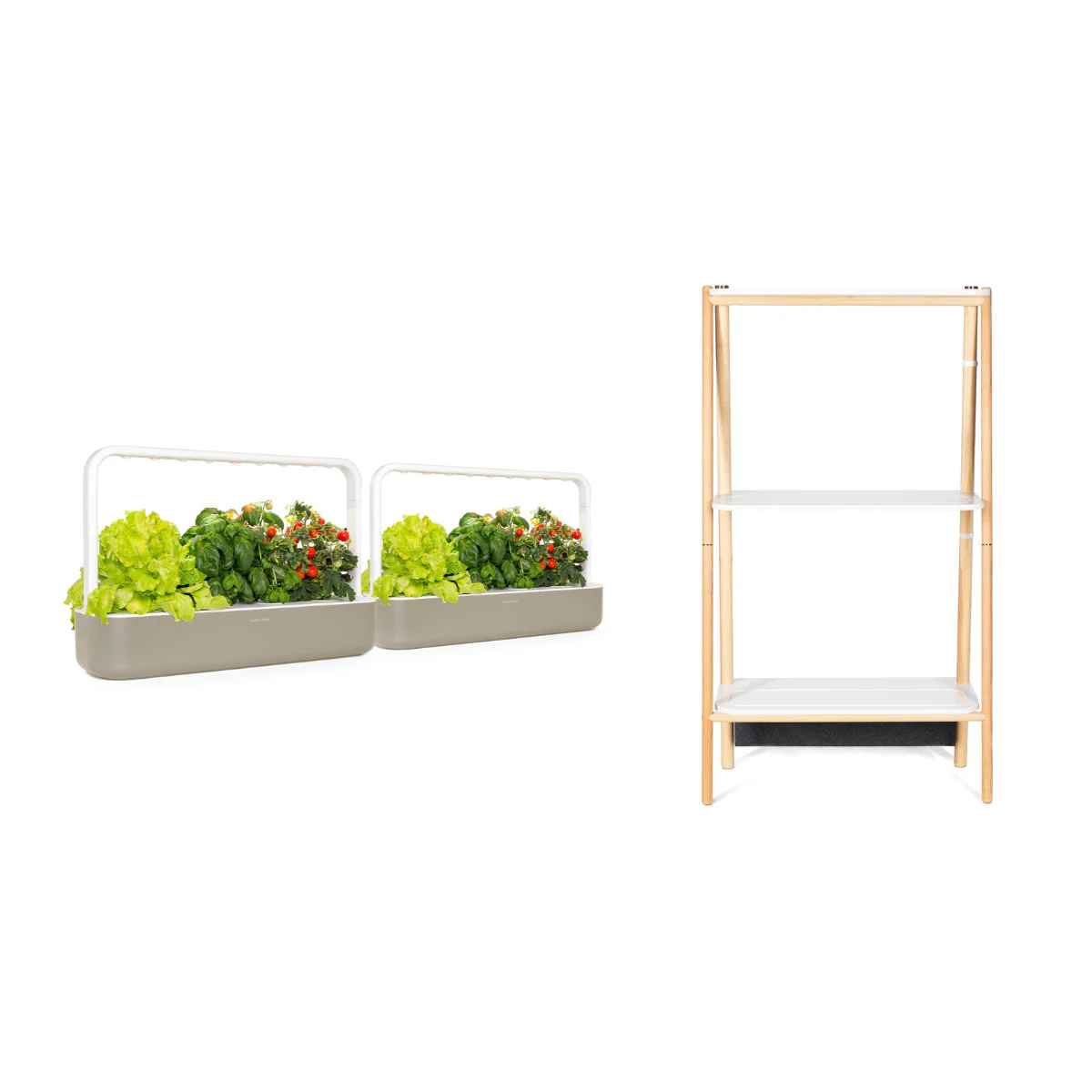 The Smart Garden 9 to 27 Upgrade - Image 3