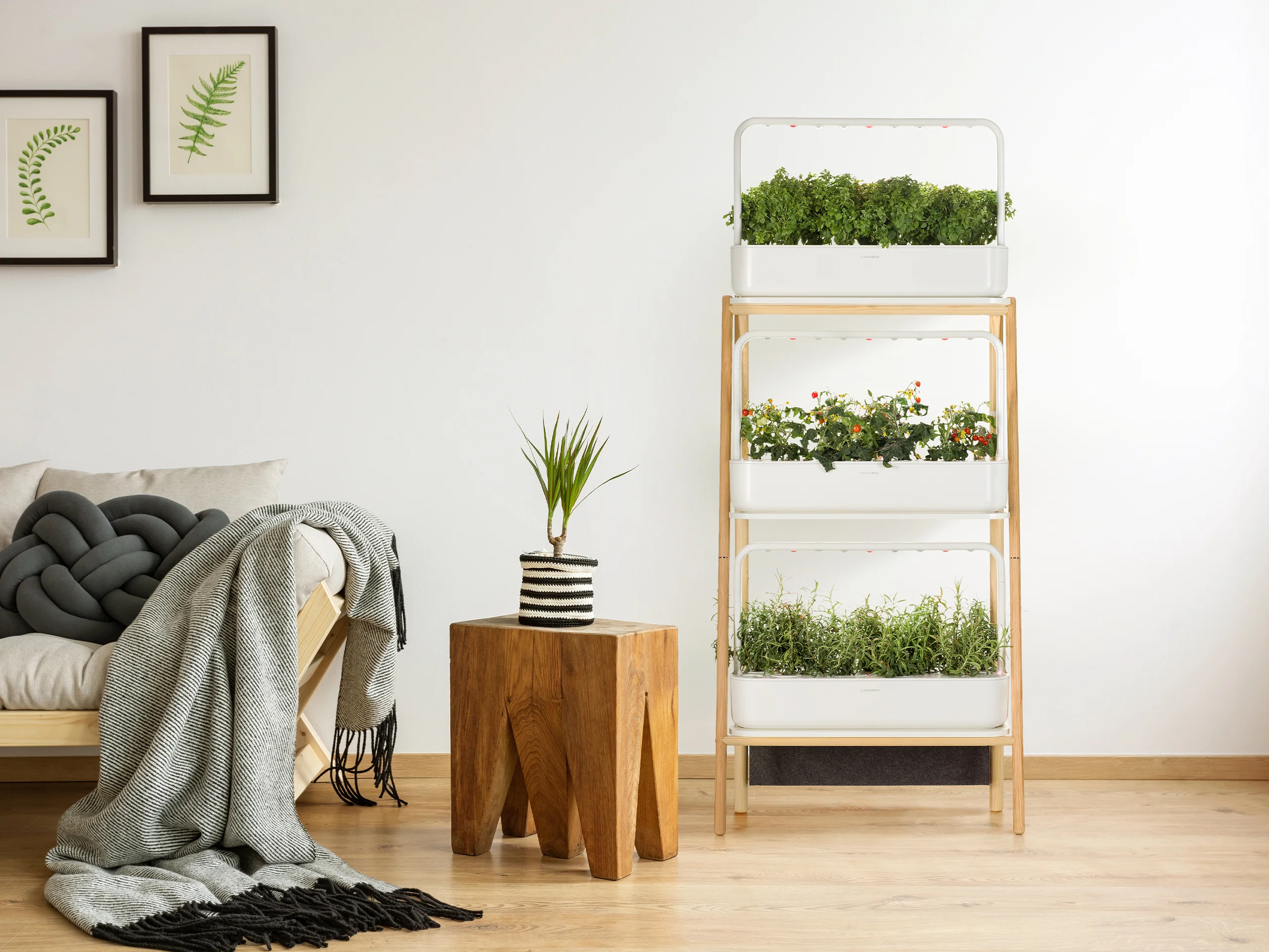 The Smart Garden 9 to 27 Upgrade - Image 6