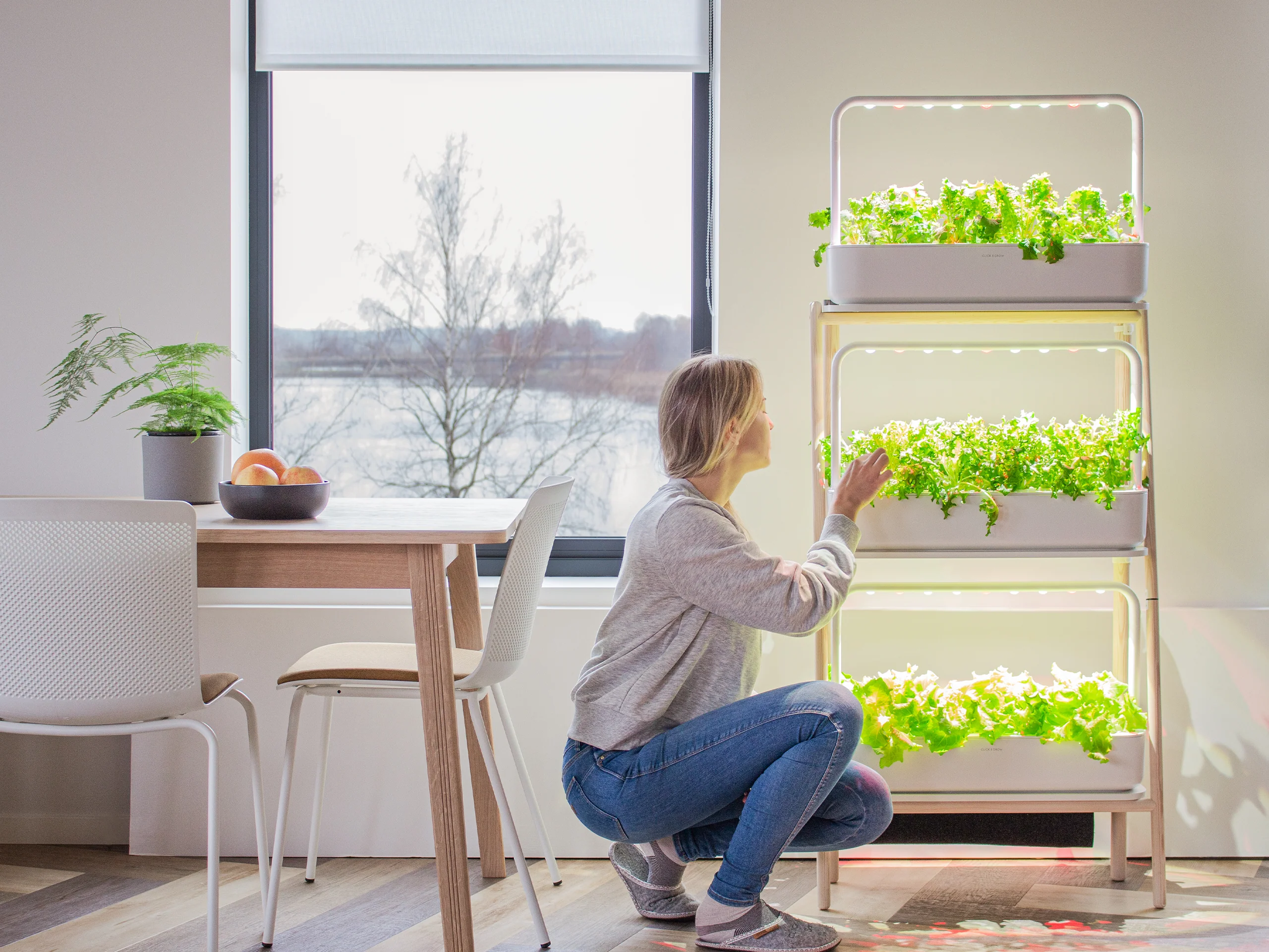 The Smart Garden 9 to 27 Upgrade - Image 7