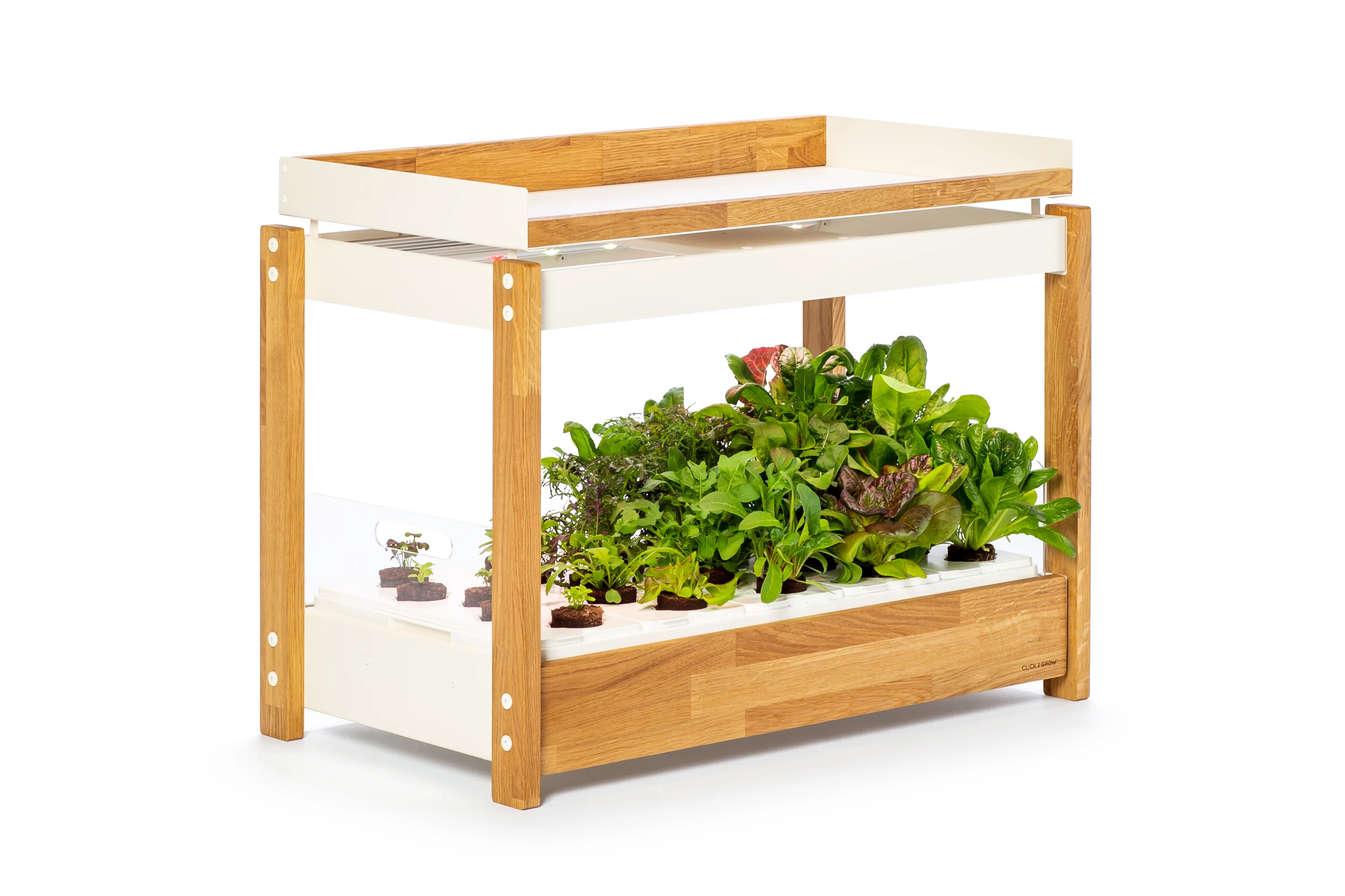 Top shelf for The Click & Grow 25 - Image 6