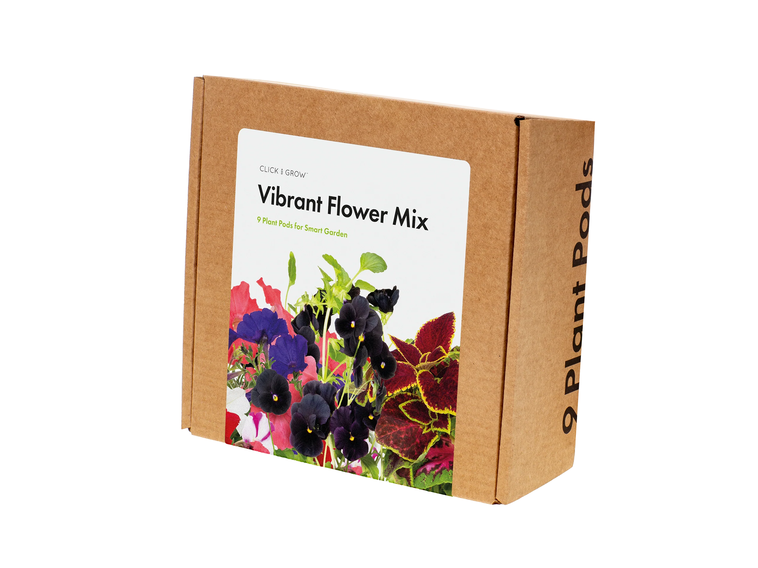 Vibrant Flower Mix 9-pack - Image 3